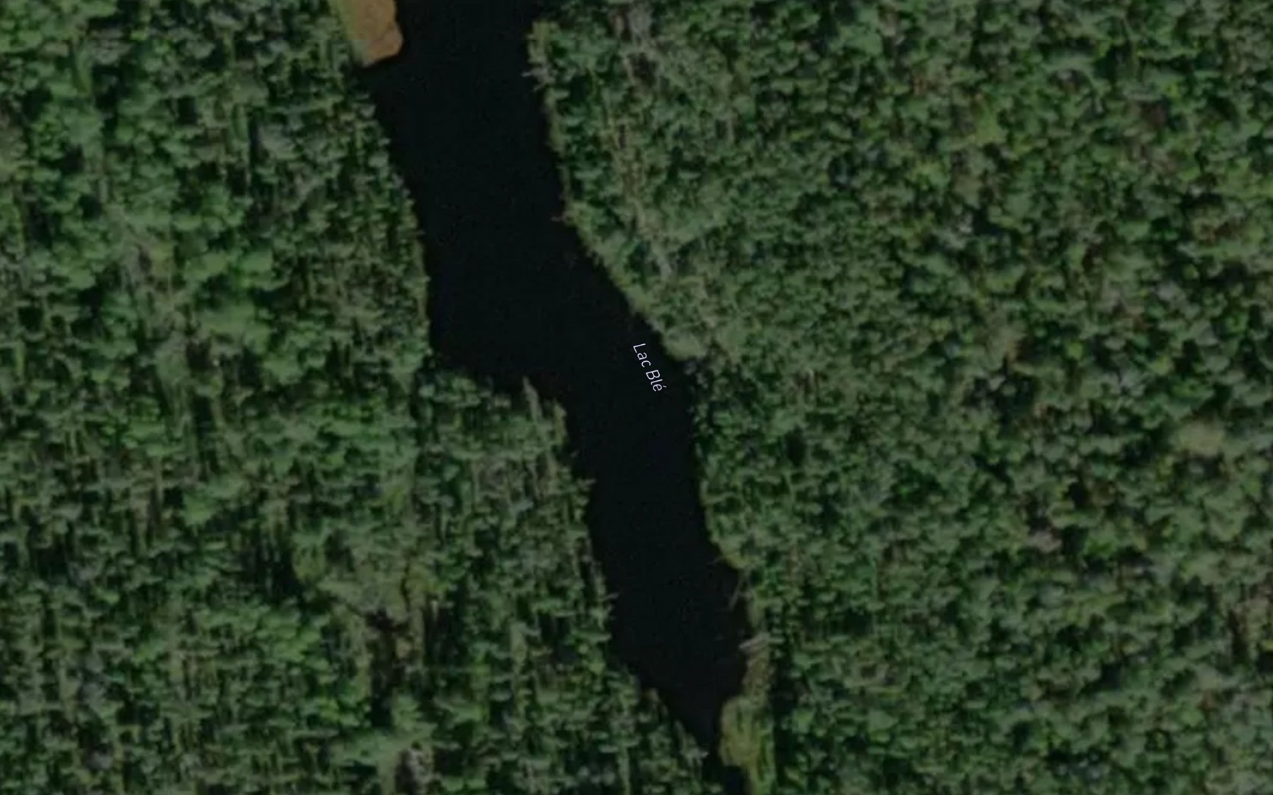 Satellite map of the Lac Ble
