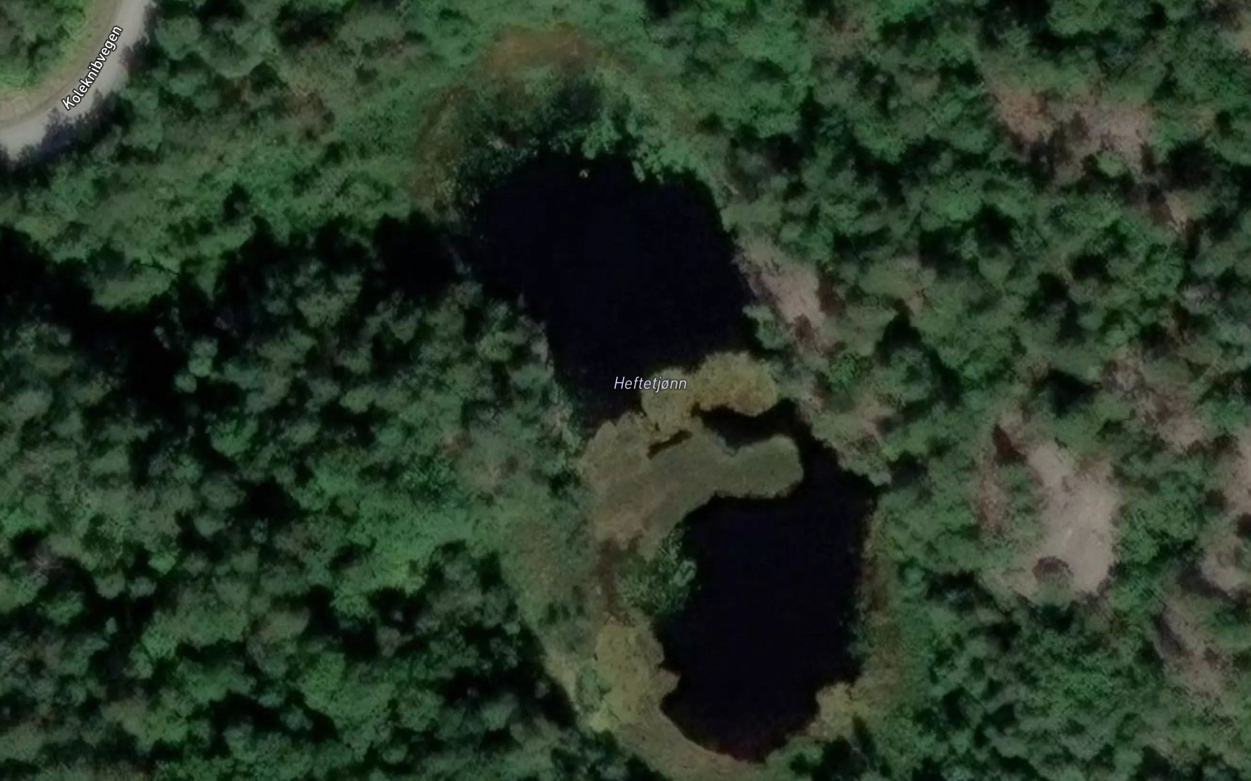 Heftetjonn