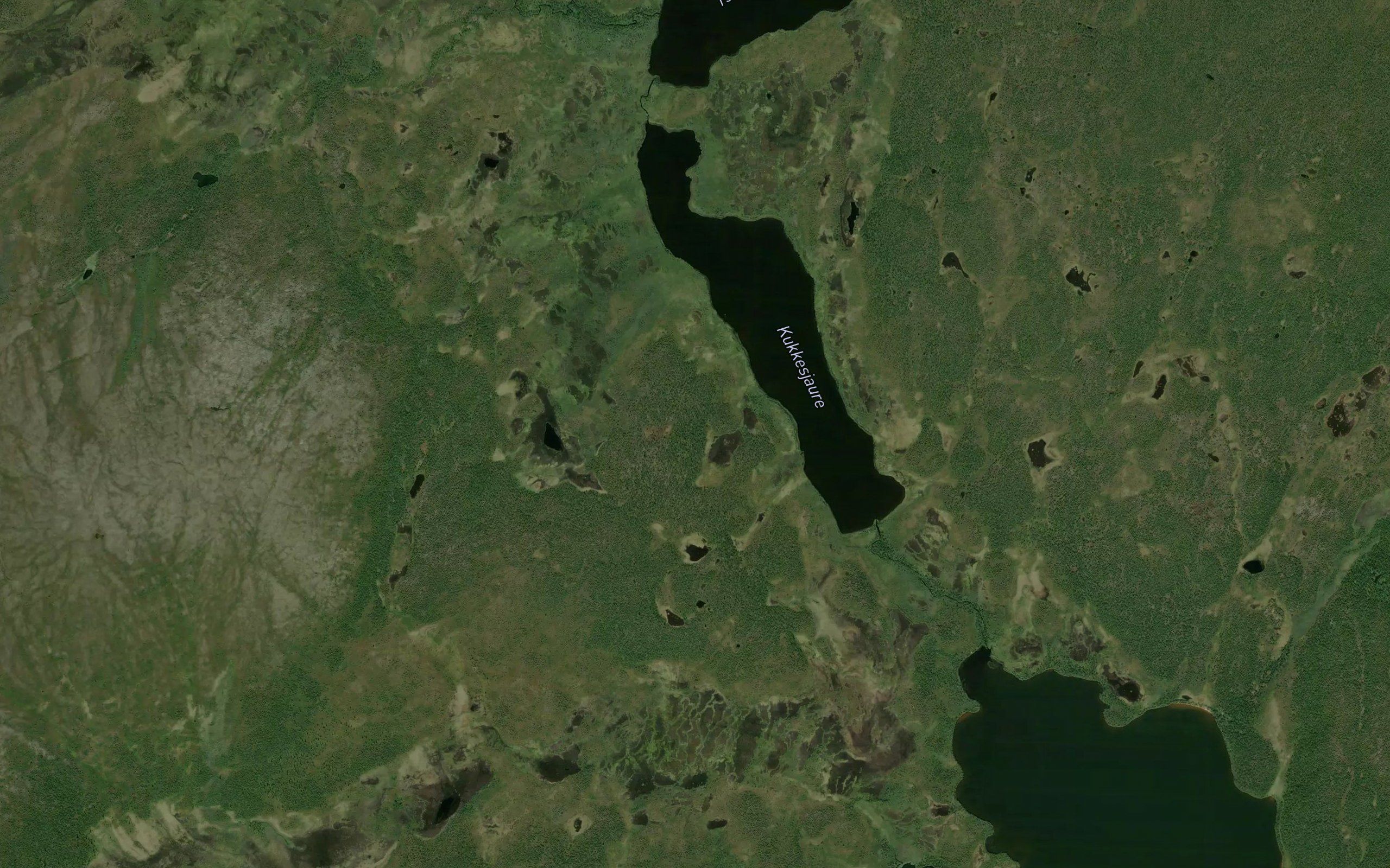 Kukkesjaure