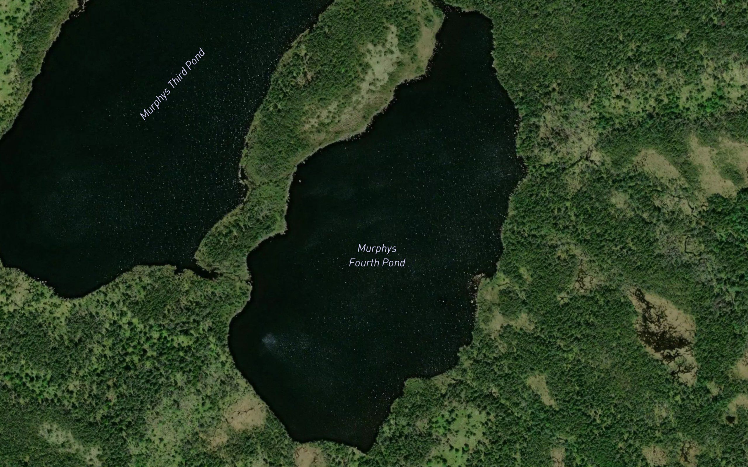Murphys Fourth Pond