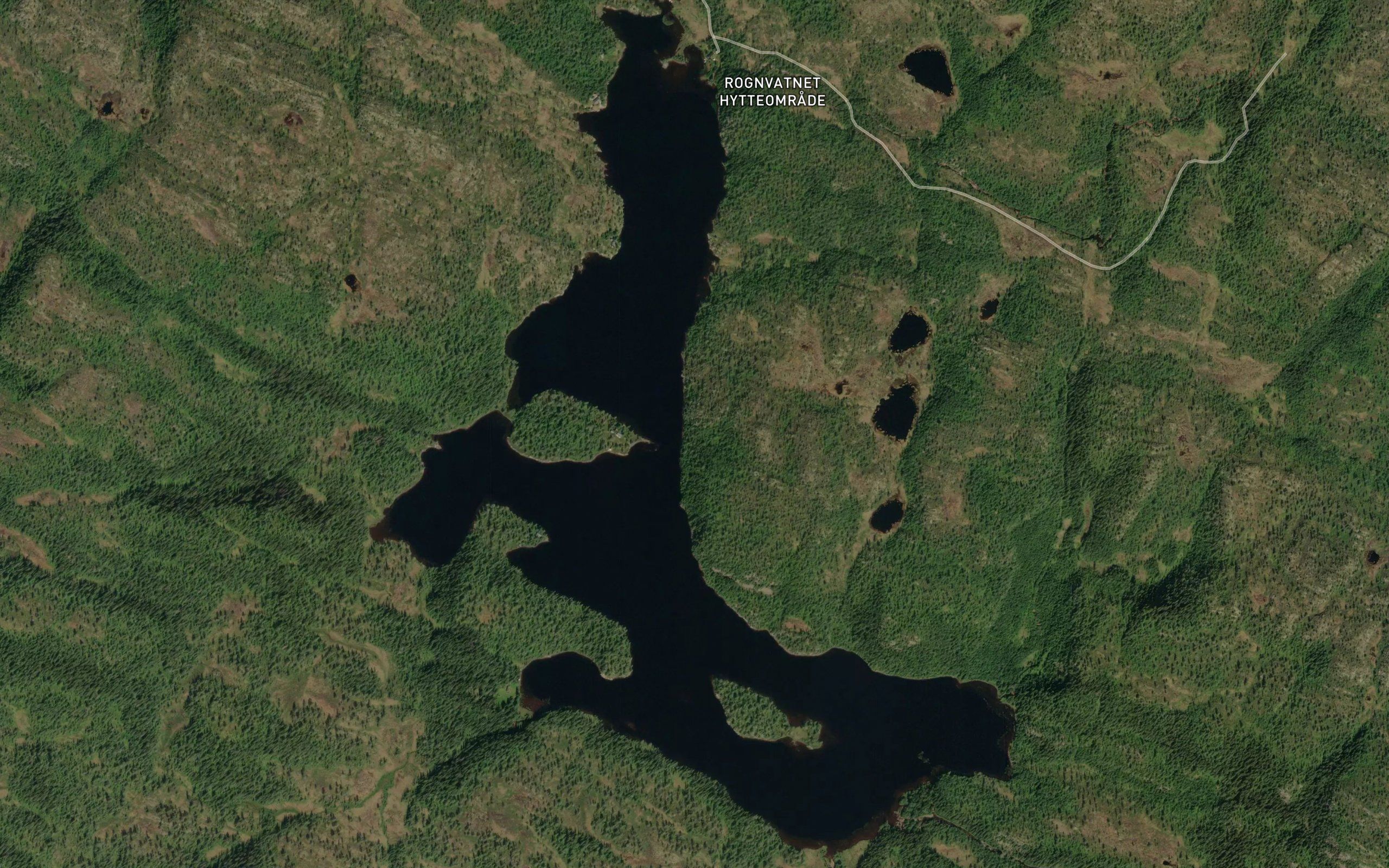 Rognvatnet