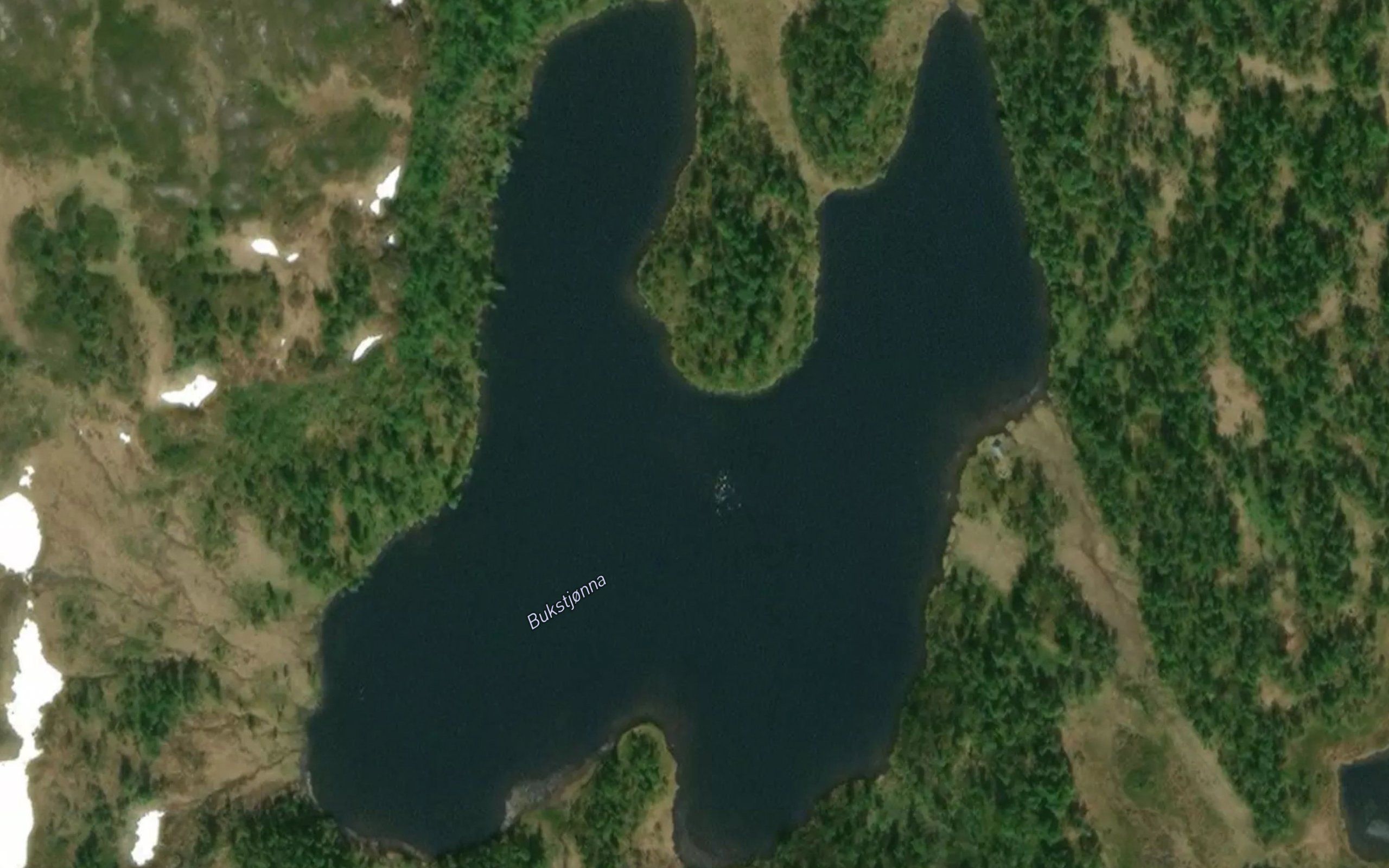 Bukstjorna
