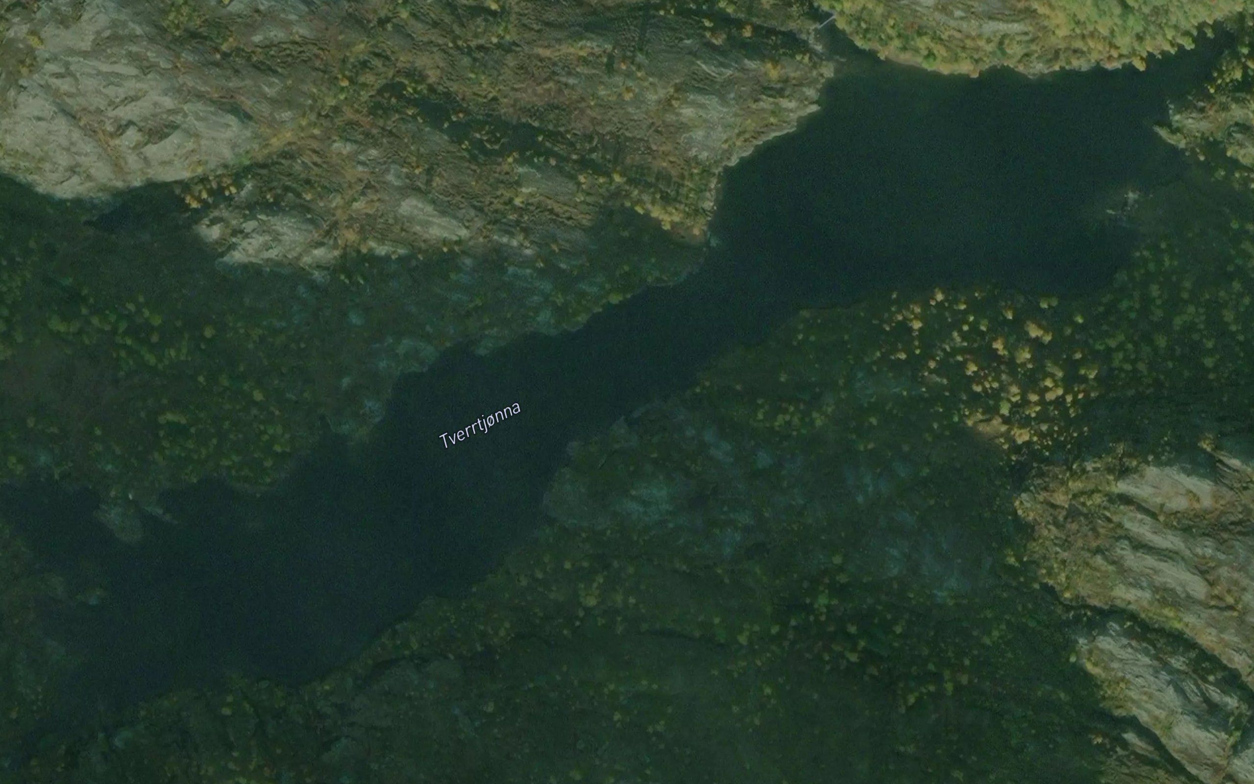 Tverrtjorna