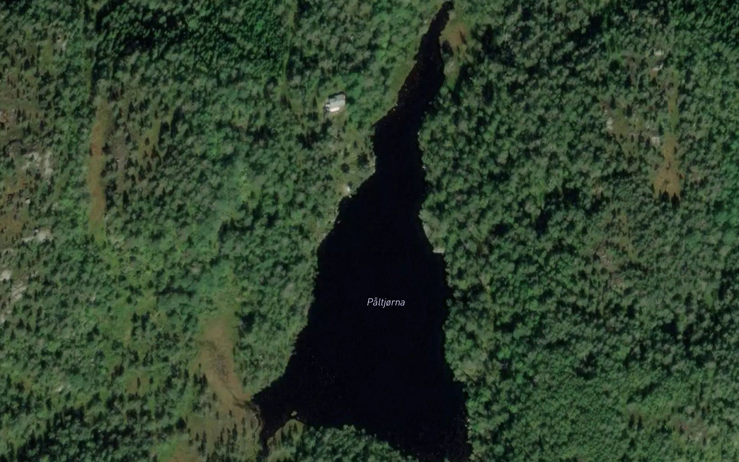Paltjorna