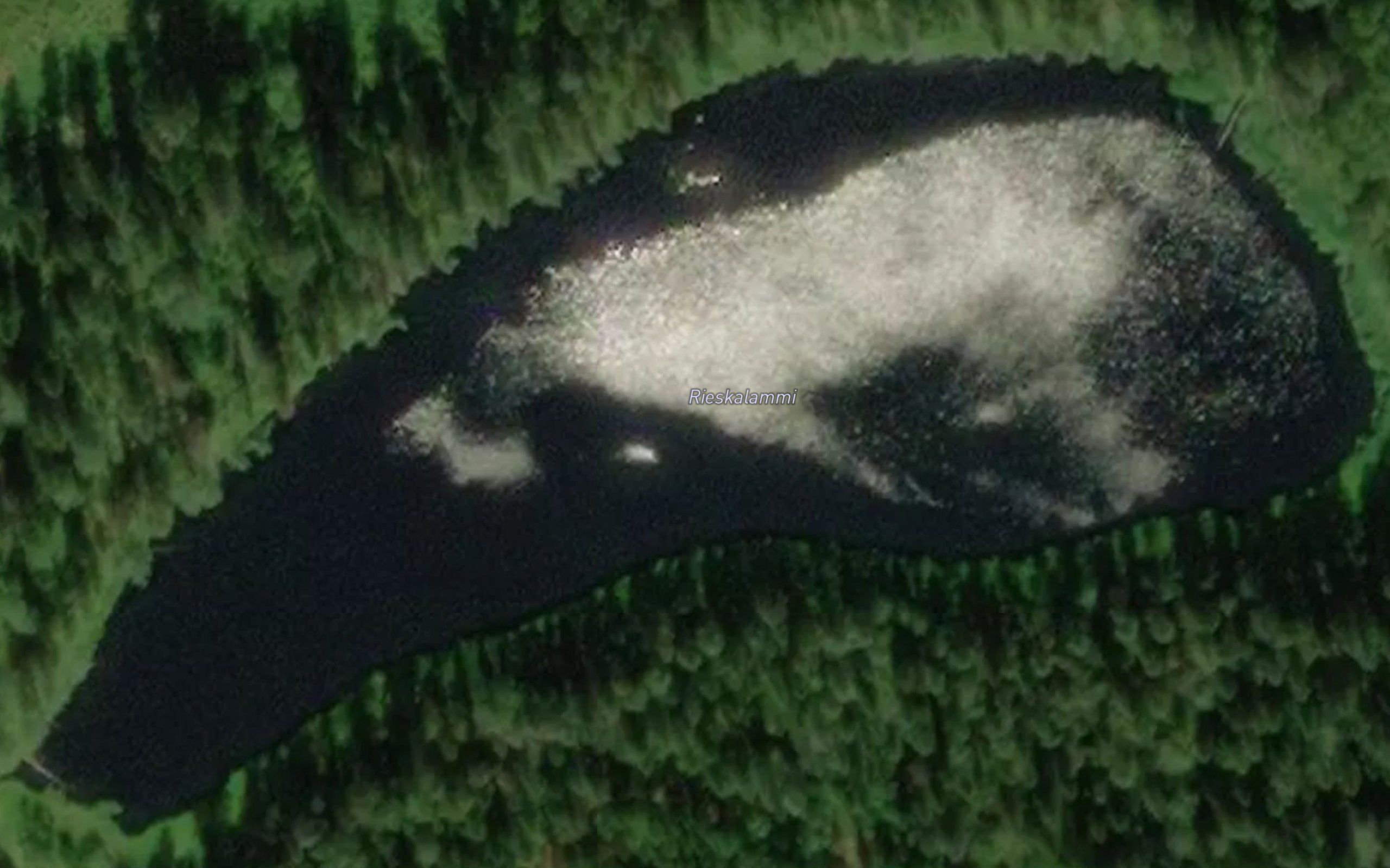 Rieskalammi