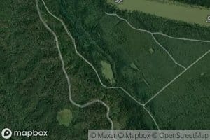 Beaver Pond