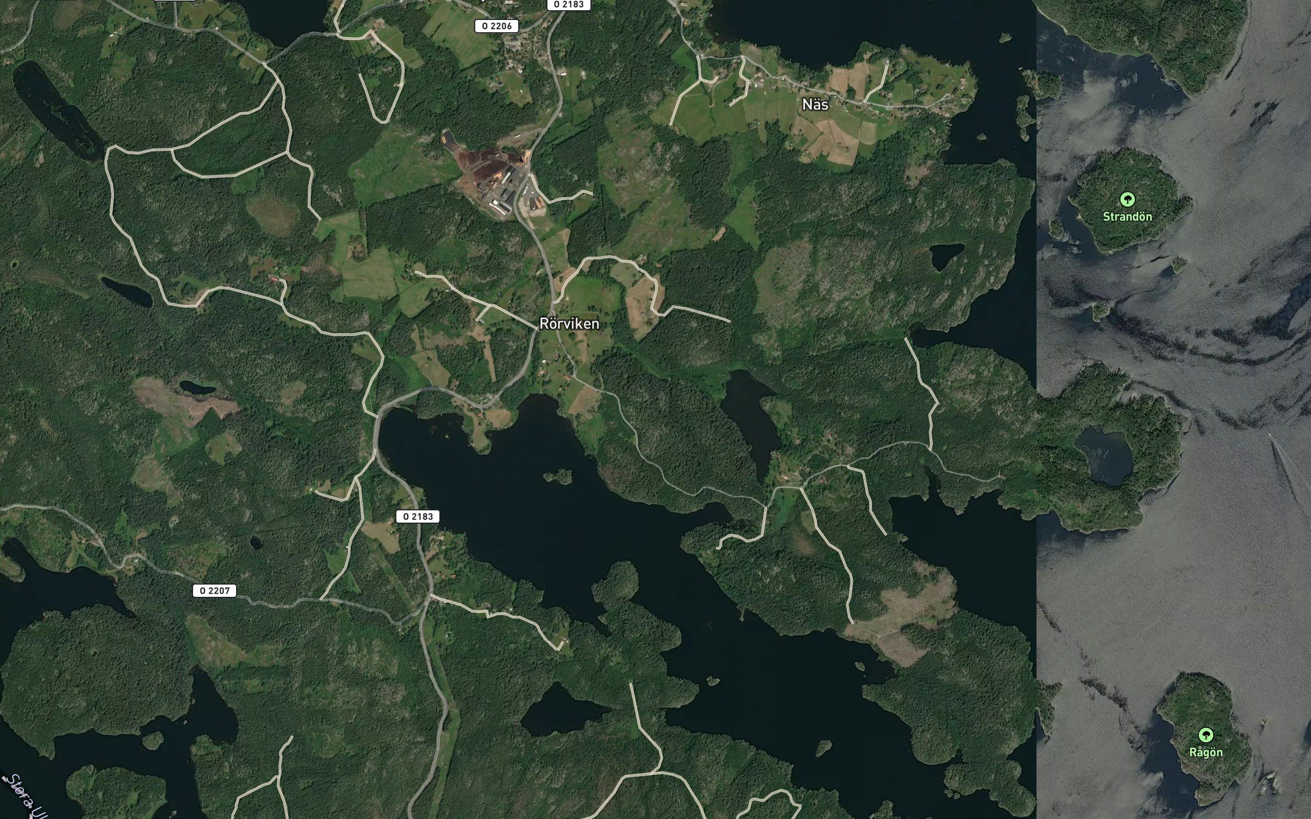 Rorviken