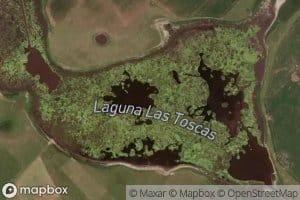 Laguna Las Toscas