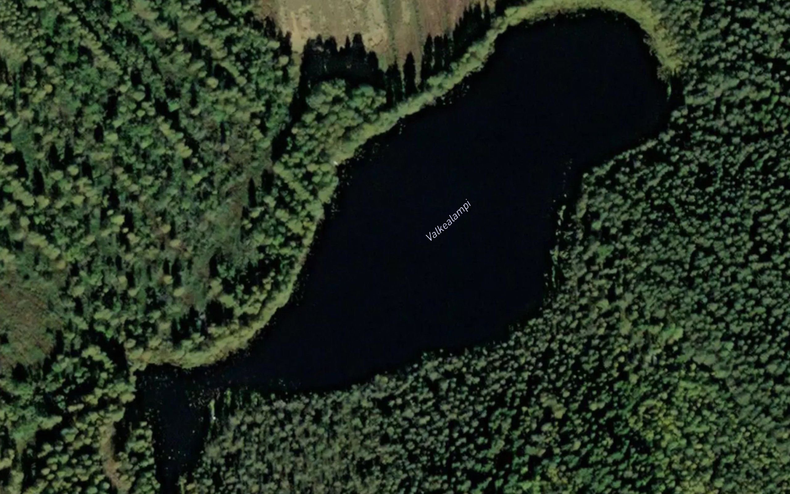 Valkealampi