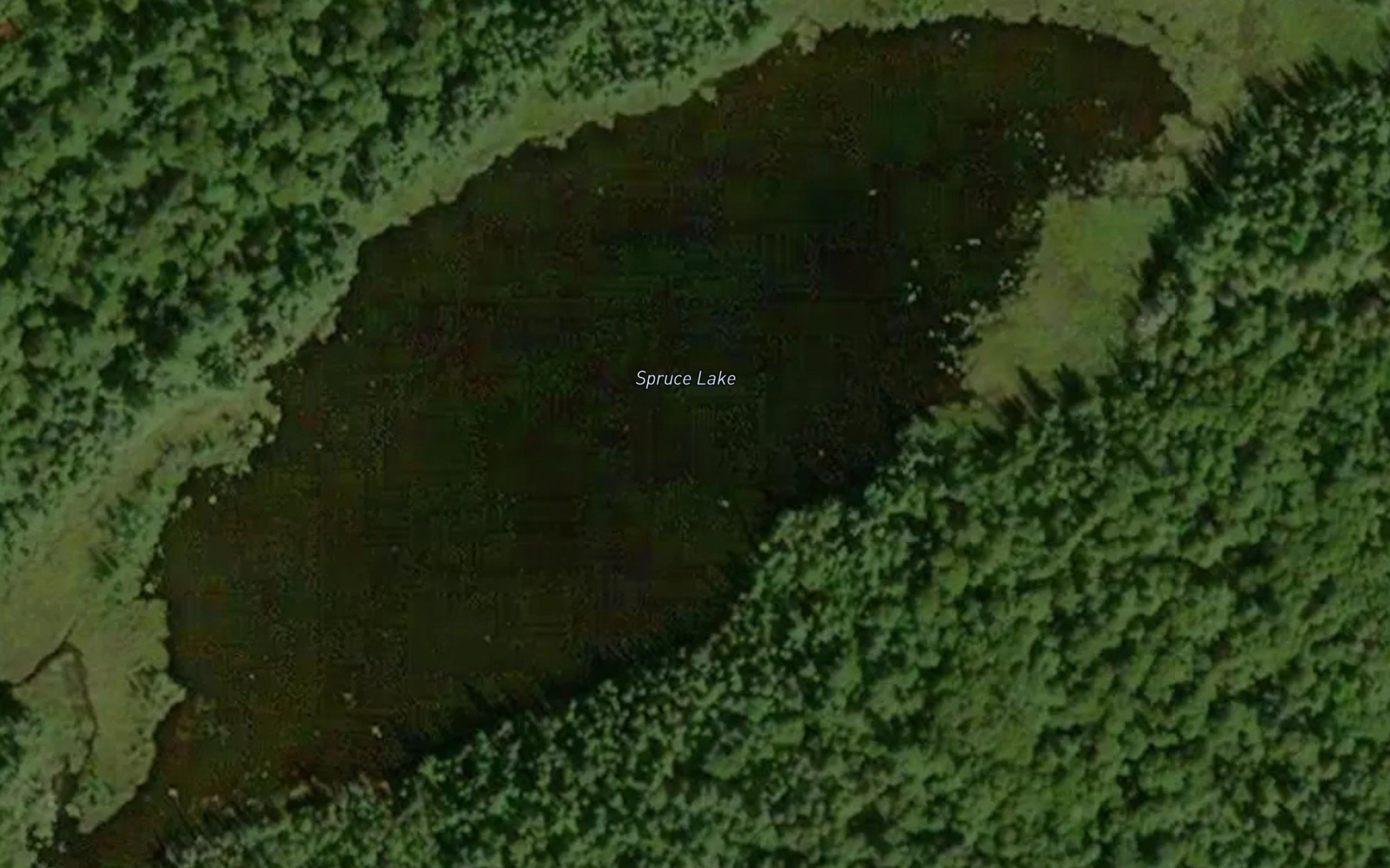 Spruce Lake