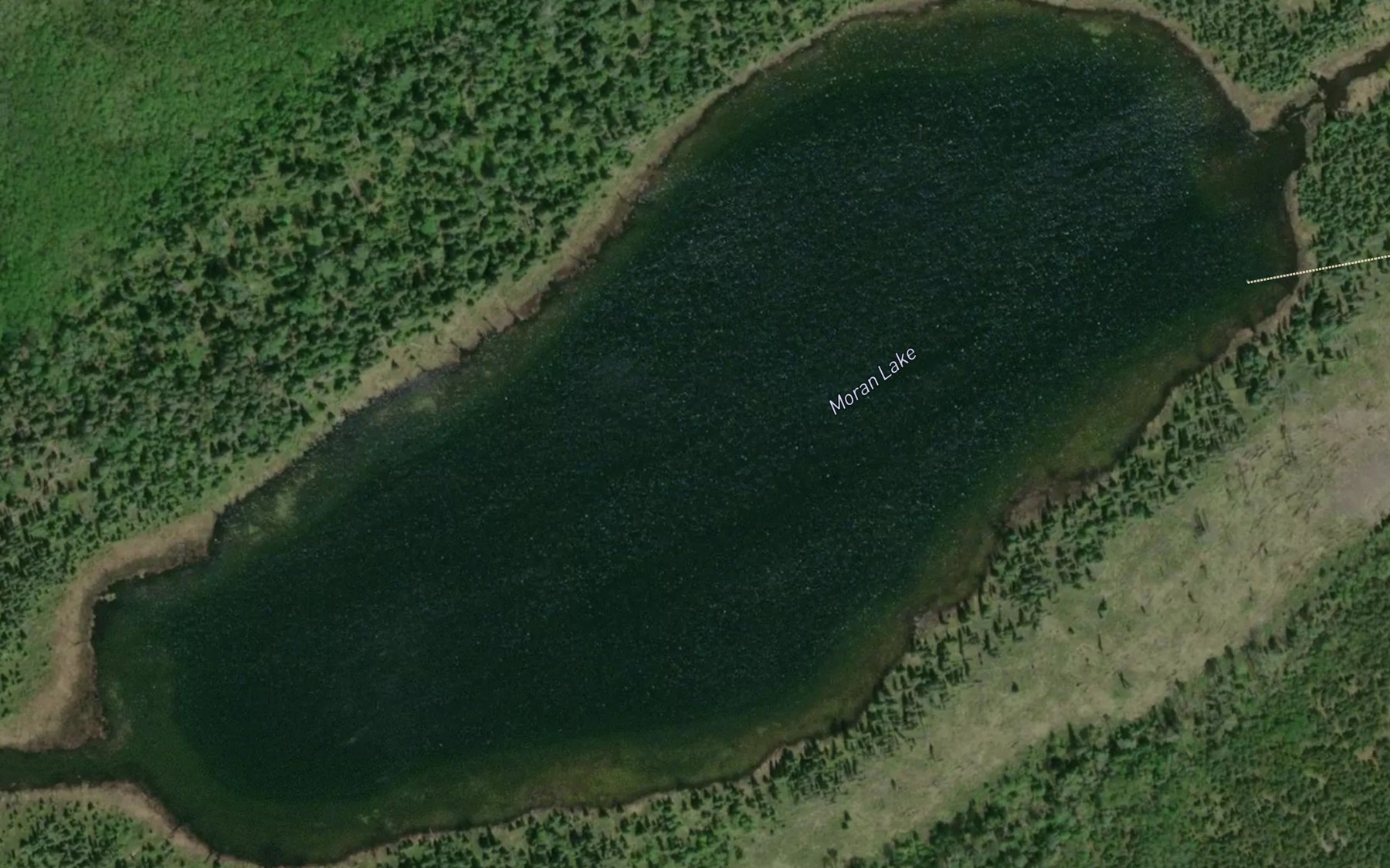 Satellite map of the Moran Lake