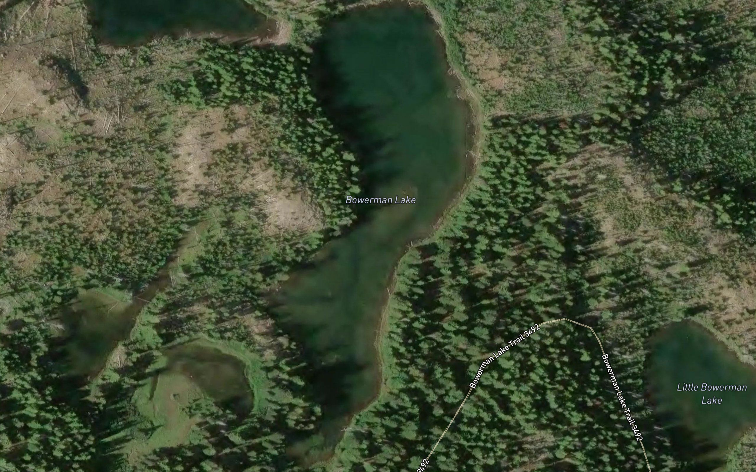 Bowerman Lake