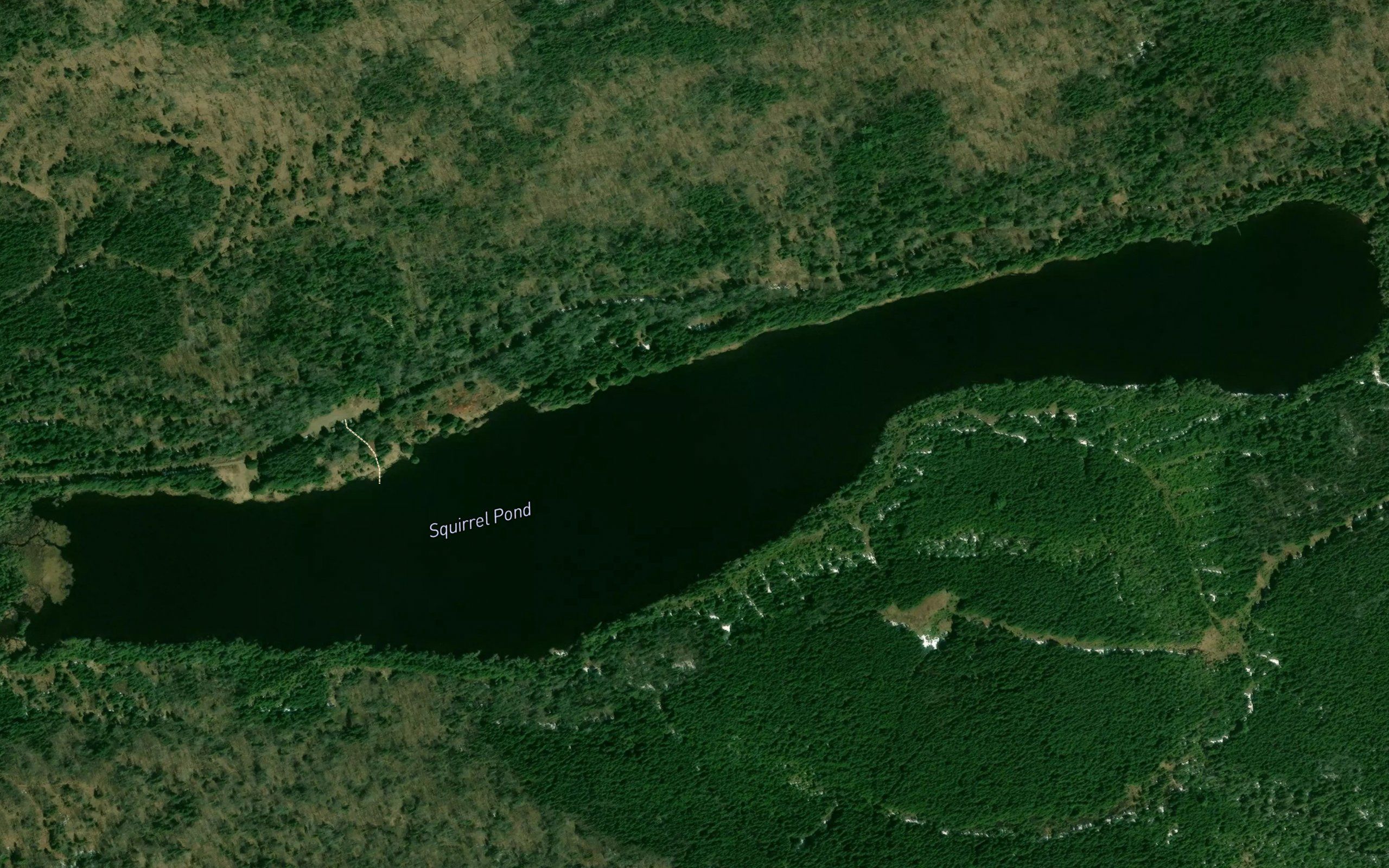 Squirrel Pond