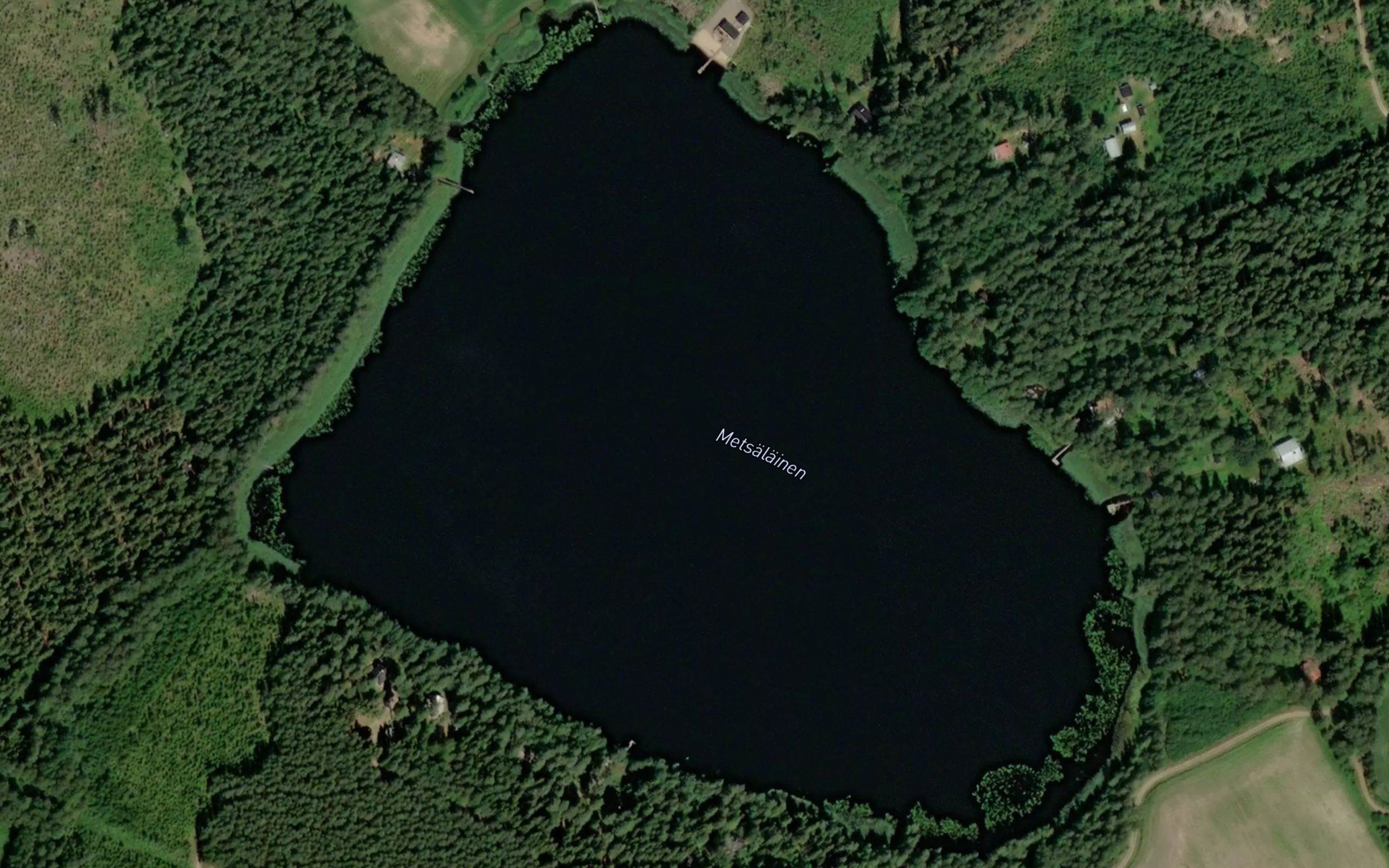Metsalainen