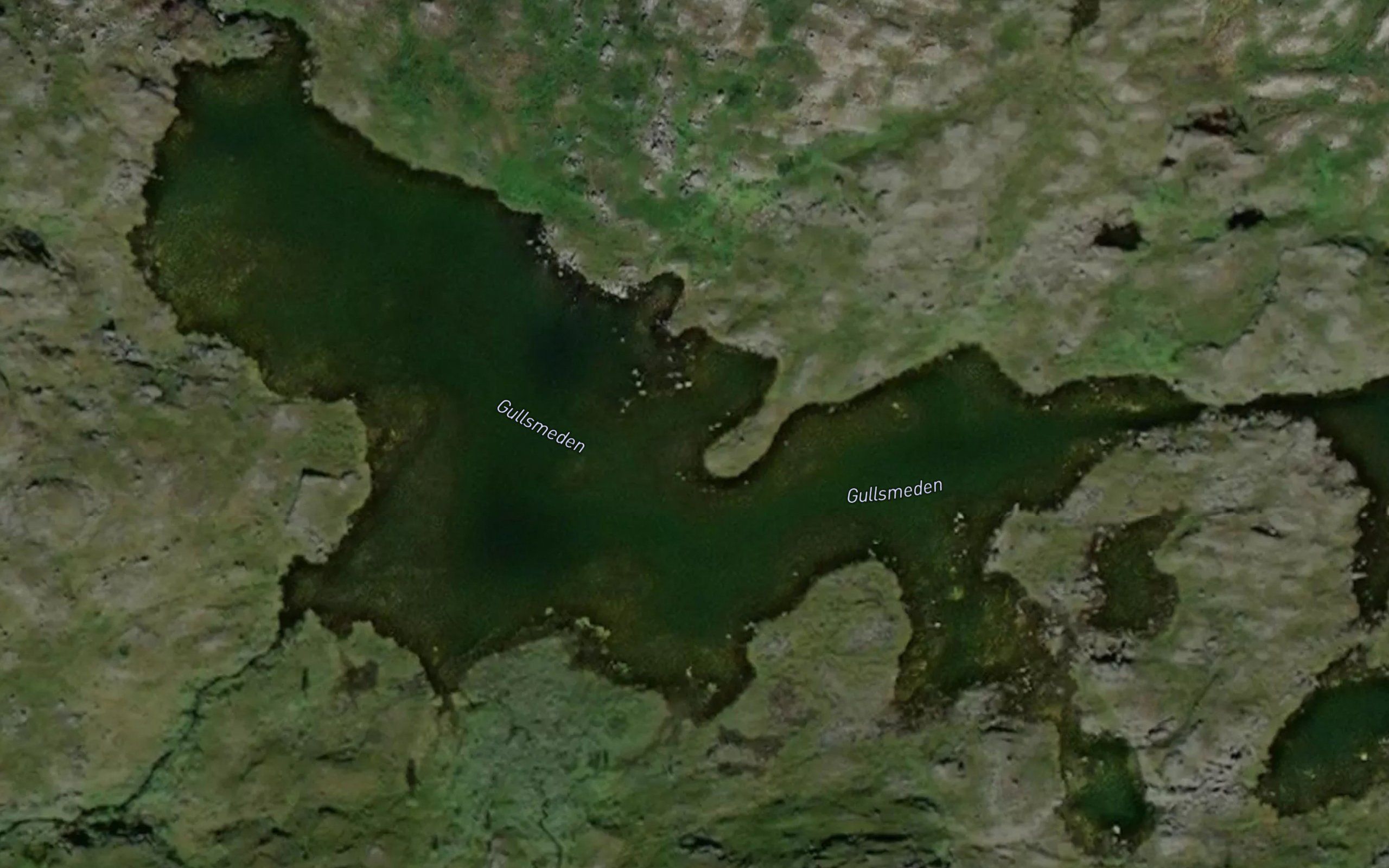 Gullsmeden