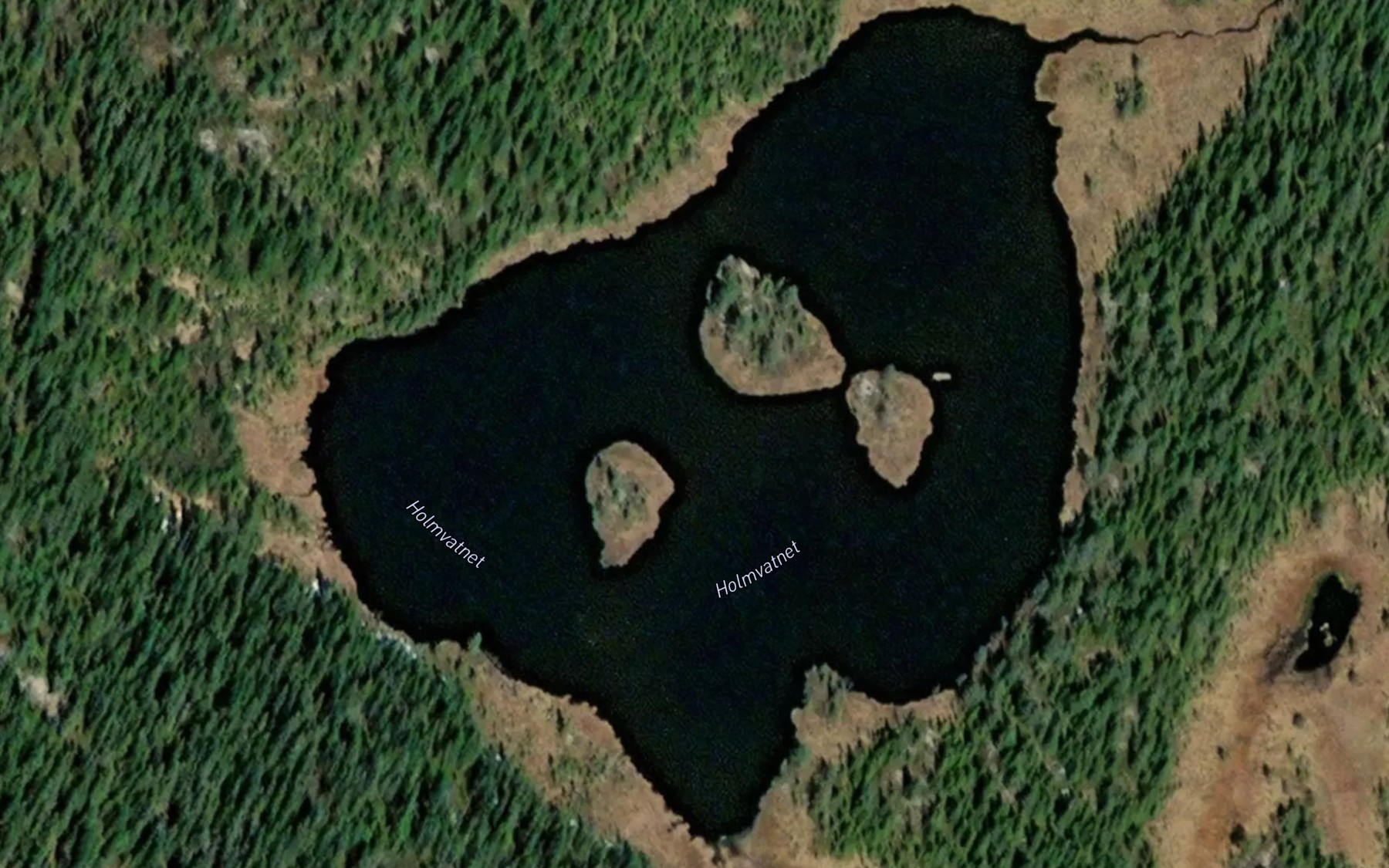 Satellite map of the Vesle Holmevatn