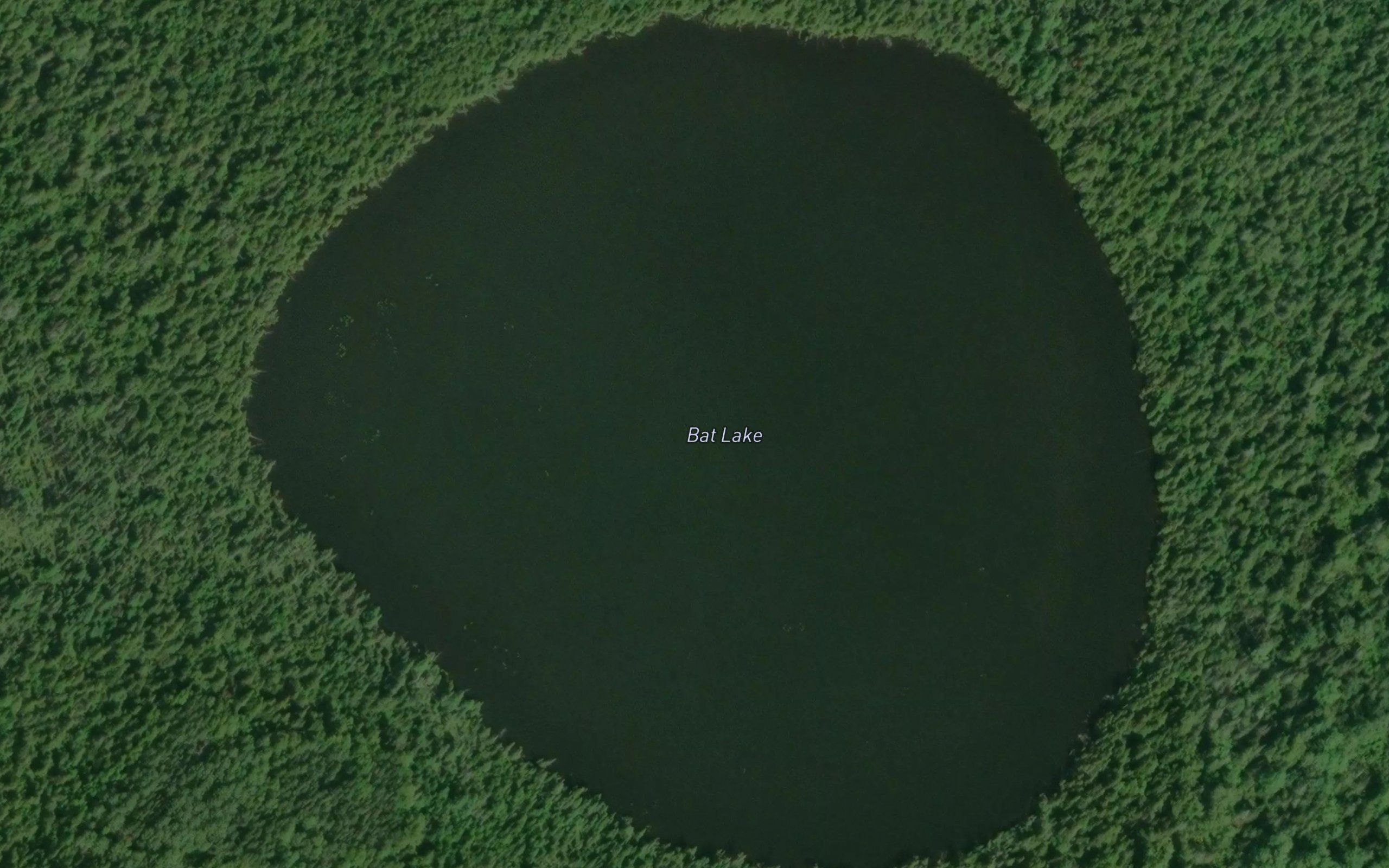 Bat Lake