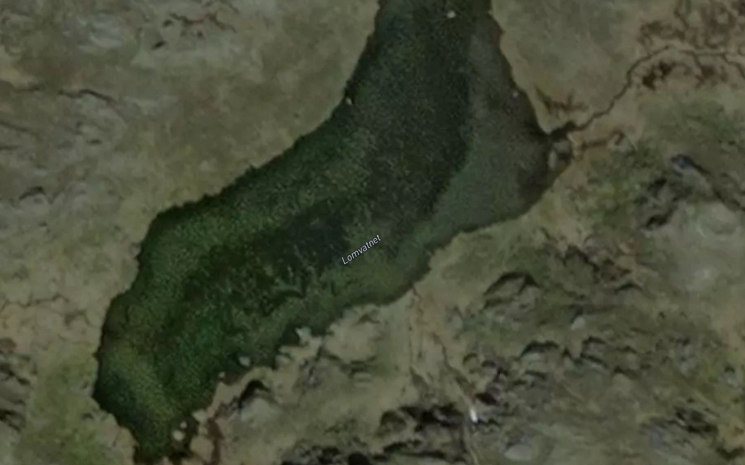 Lomvatnet