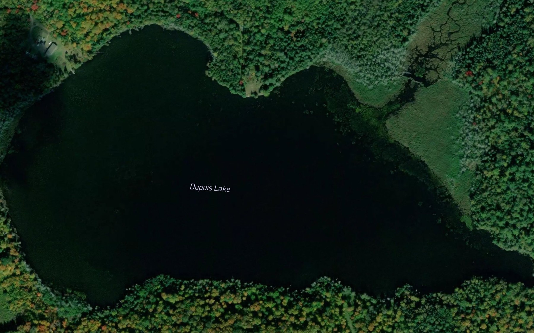 Satellite map of the Dupuis Lake