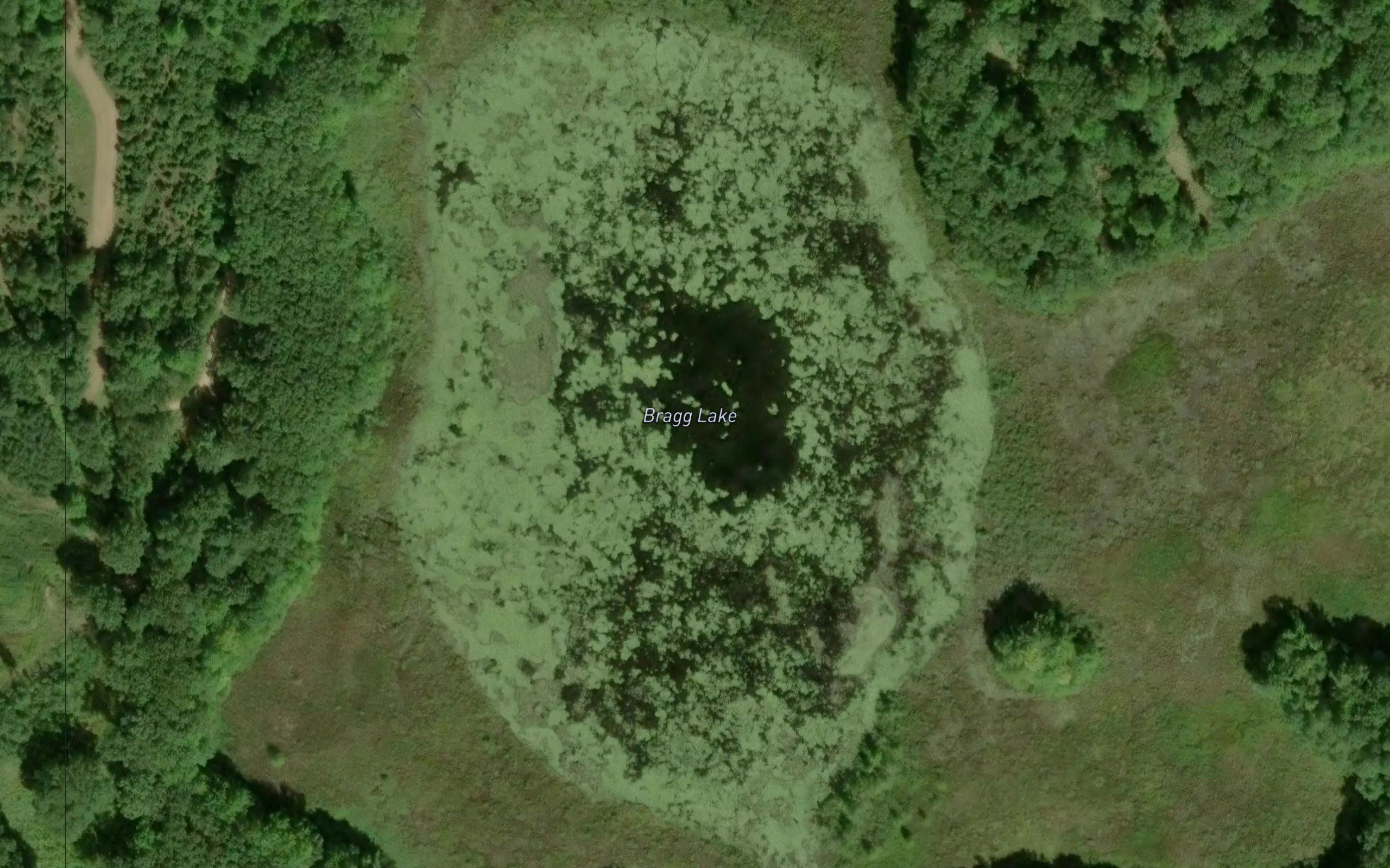 Bragg Lake