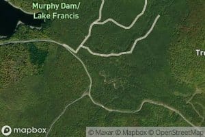 Middle Branch Cedar Stream