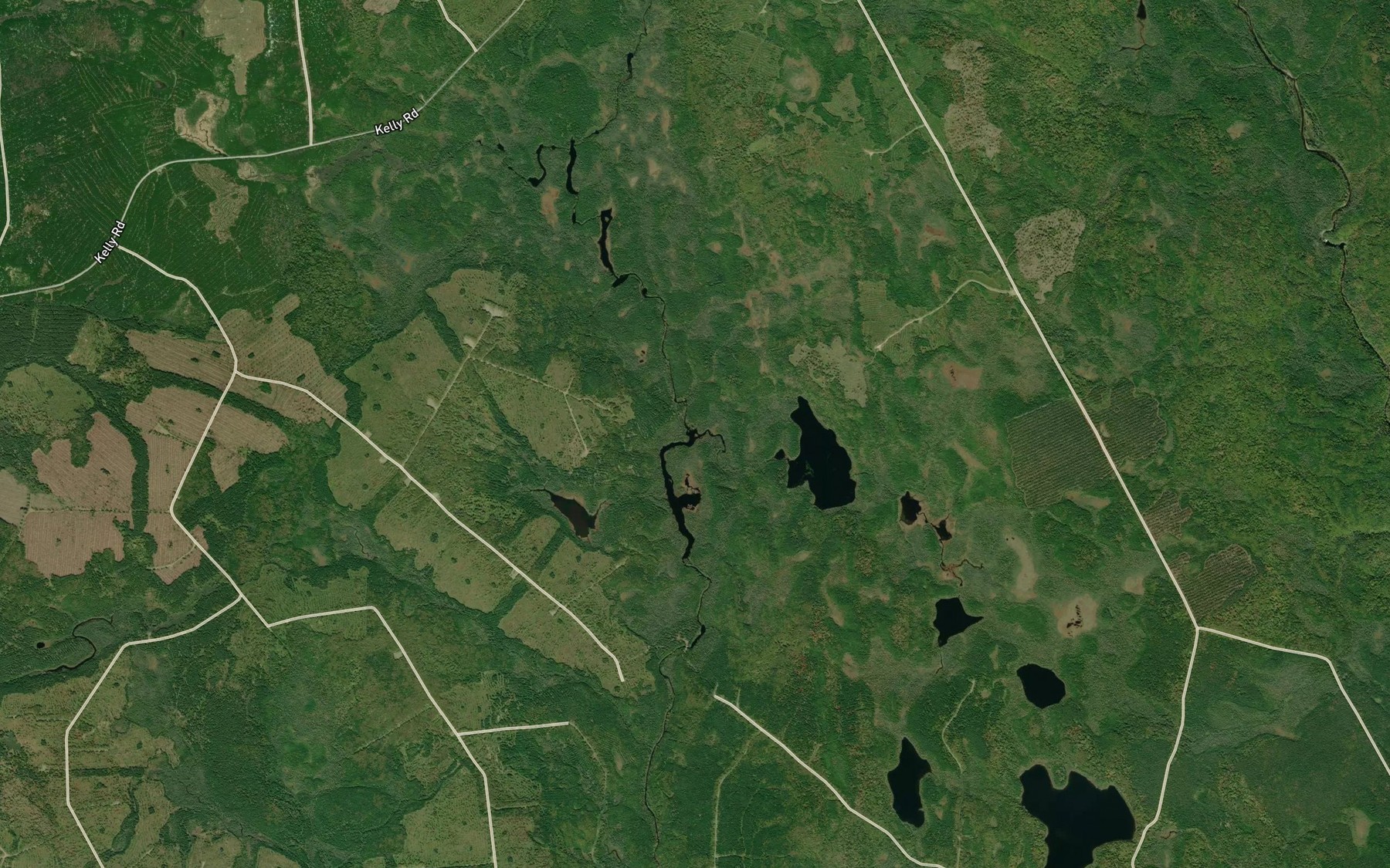 Satellite map of the East Branch Lakes