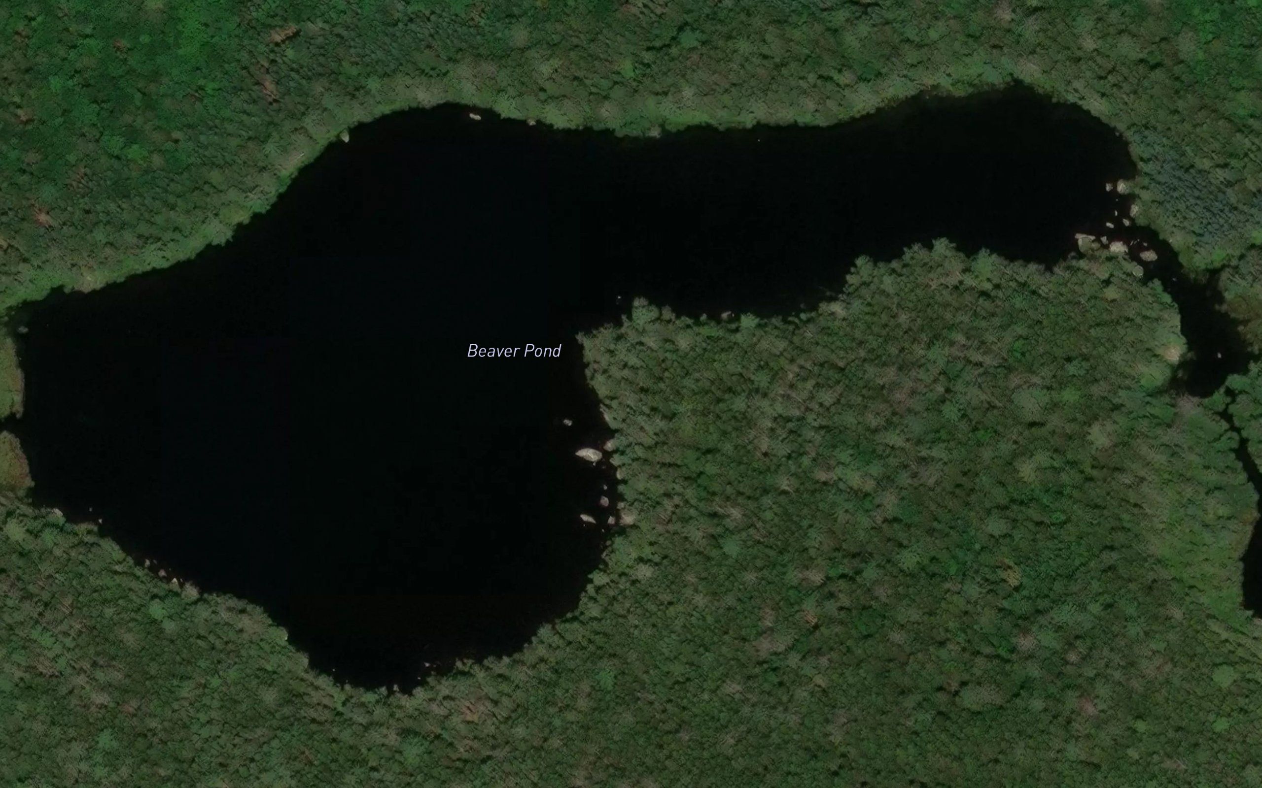 Beaver Pond
