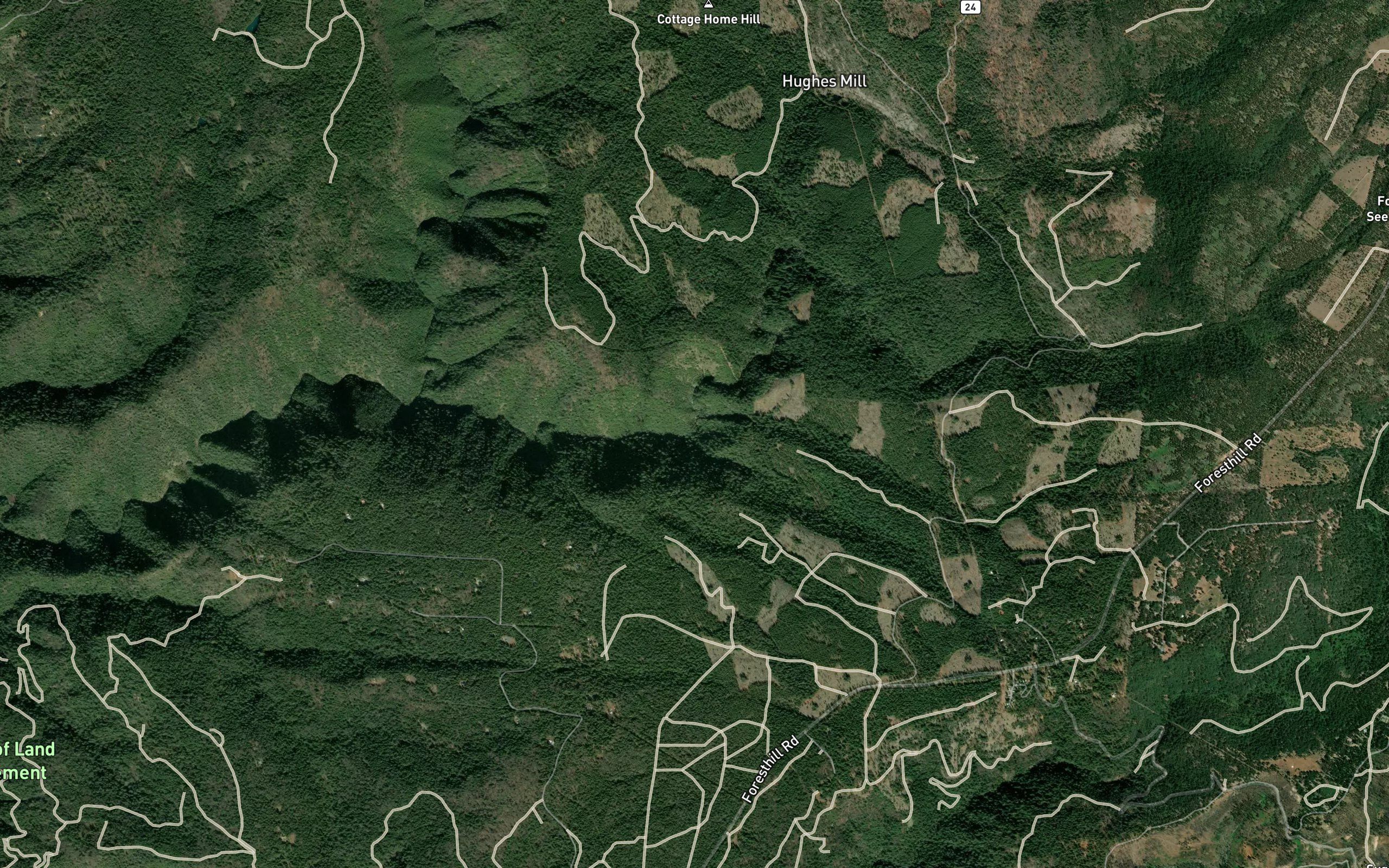 Temperance Creek