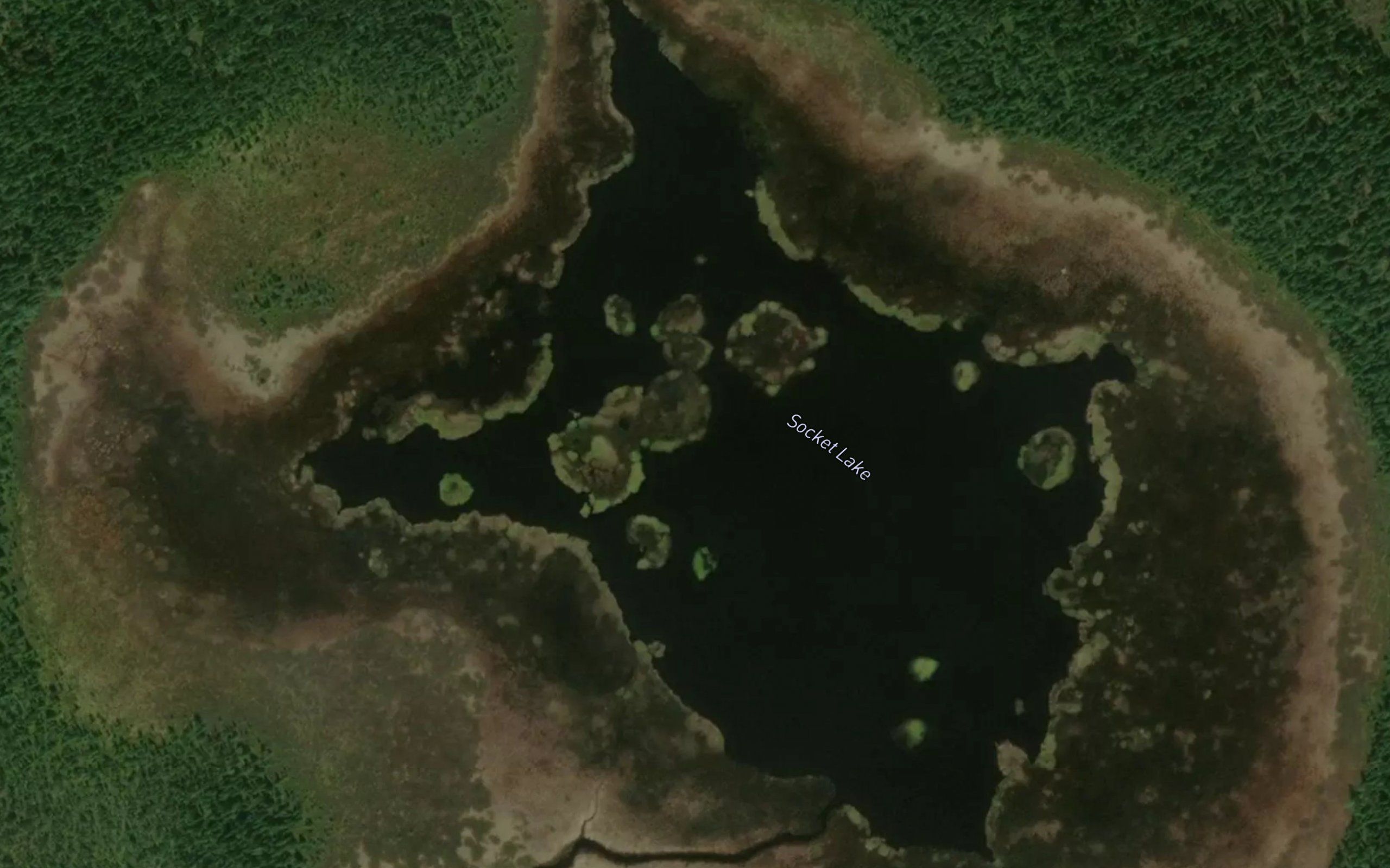 Socket Lake
