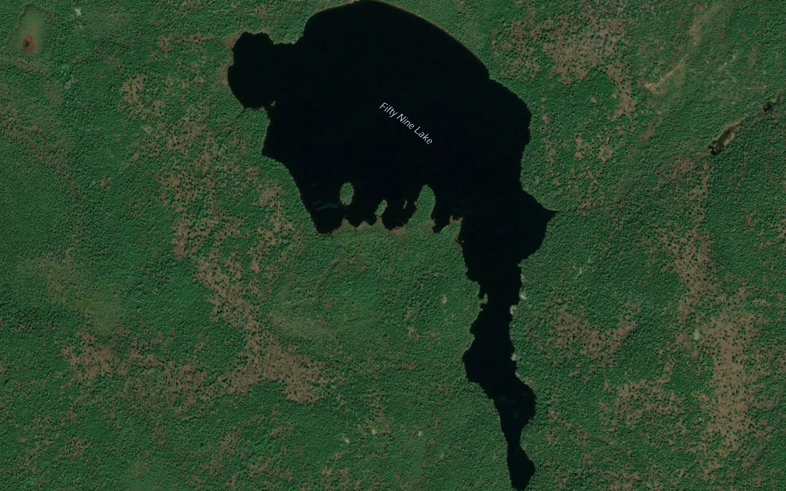 Fifty Nine Lake