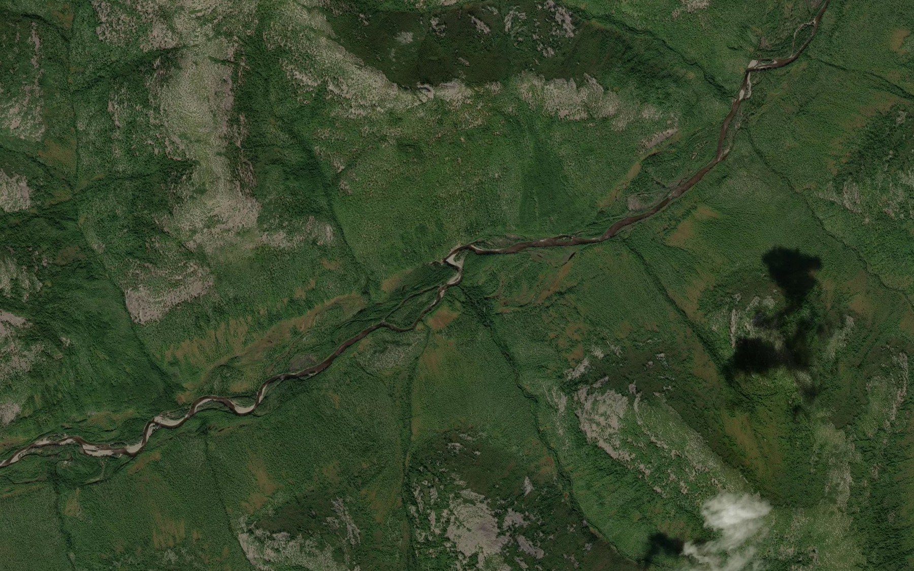 Satellite map of the Kamenka