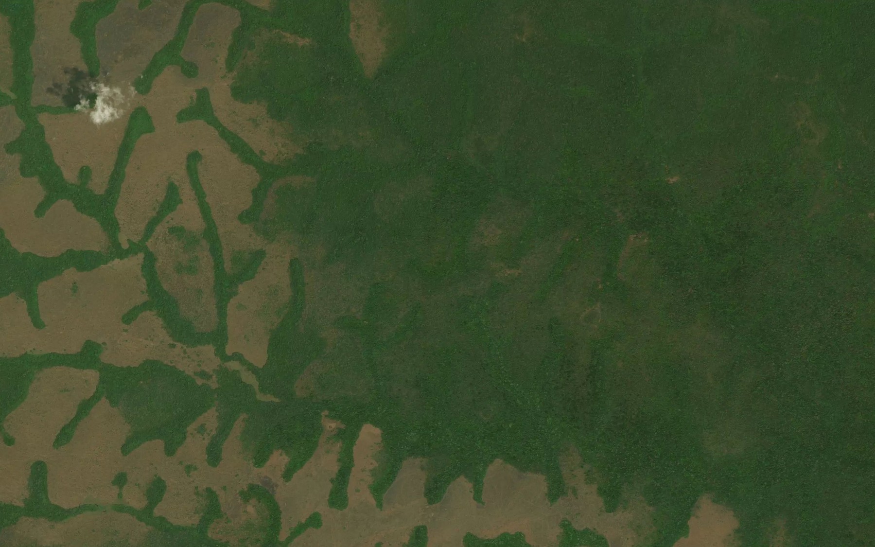 Satellite map of the Moungambi
