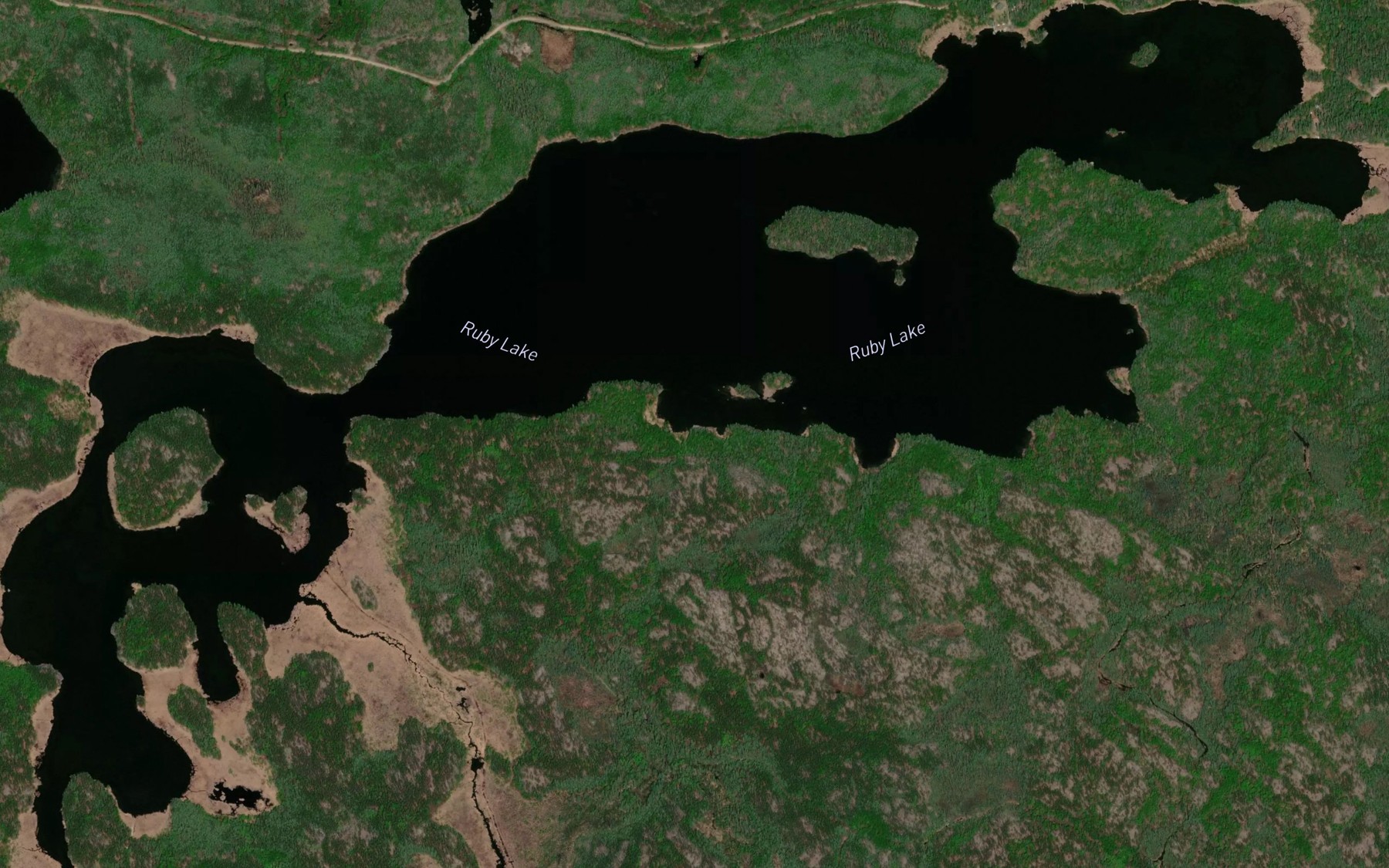 Satellite map of the Ruby Lake