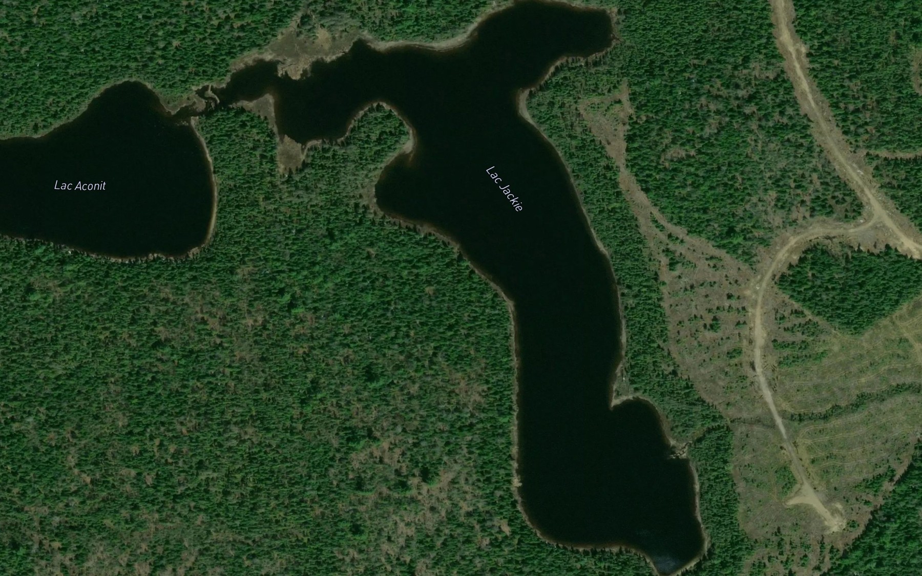 Satellite map of the Lac Jackie