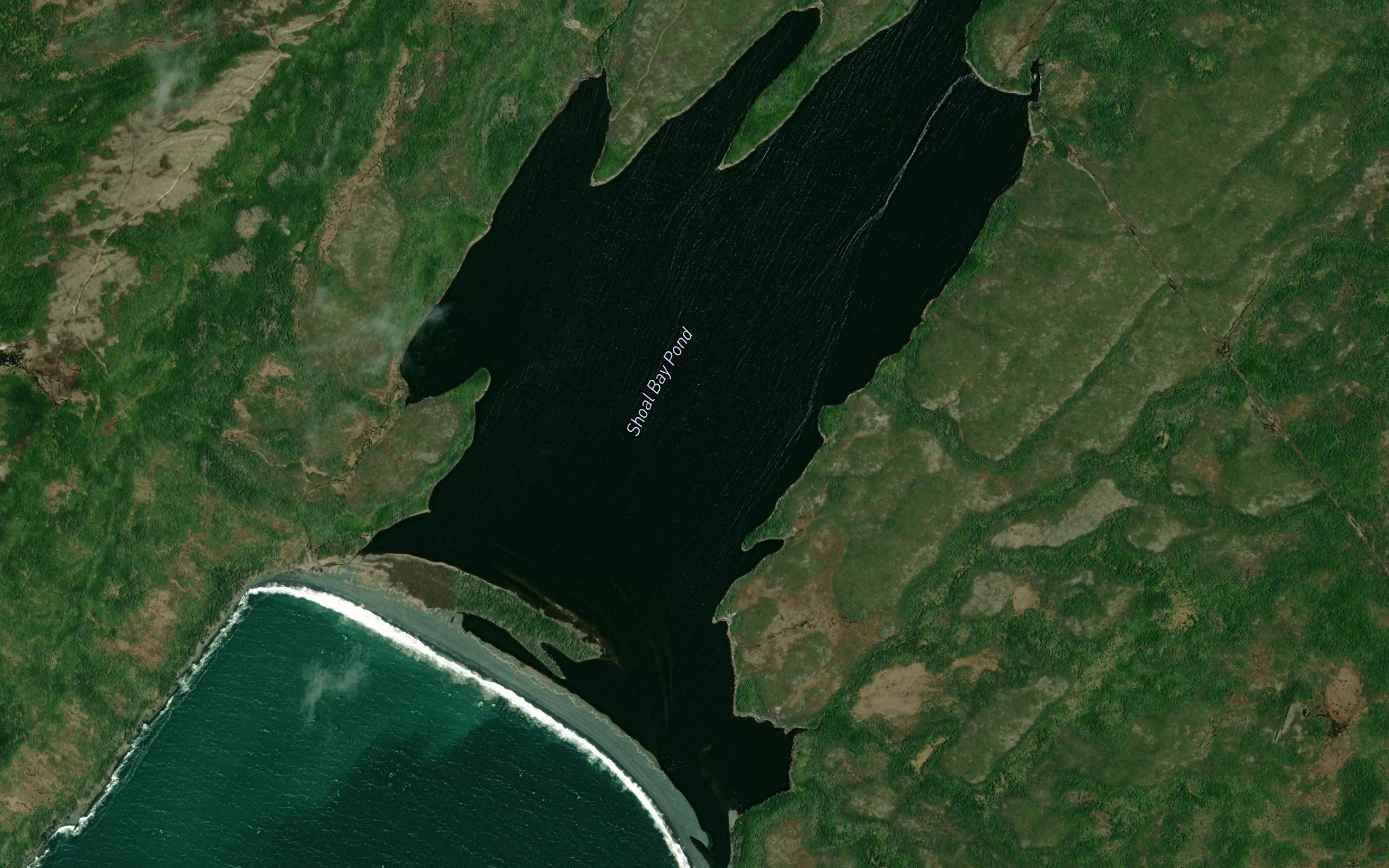 Shoal Bay Pond