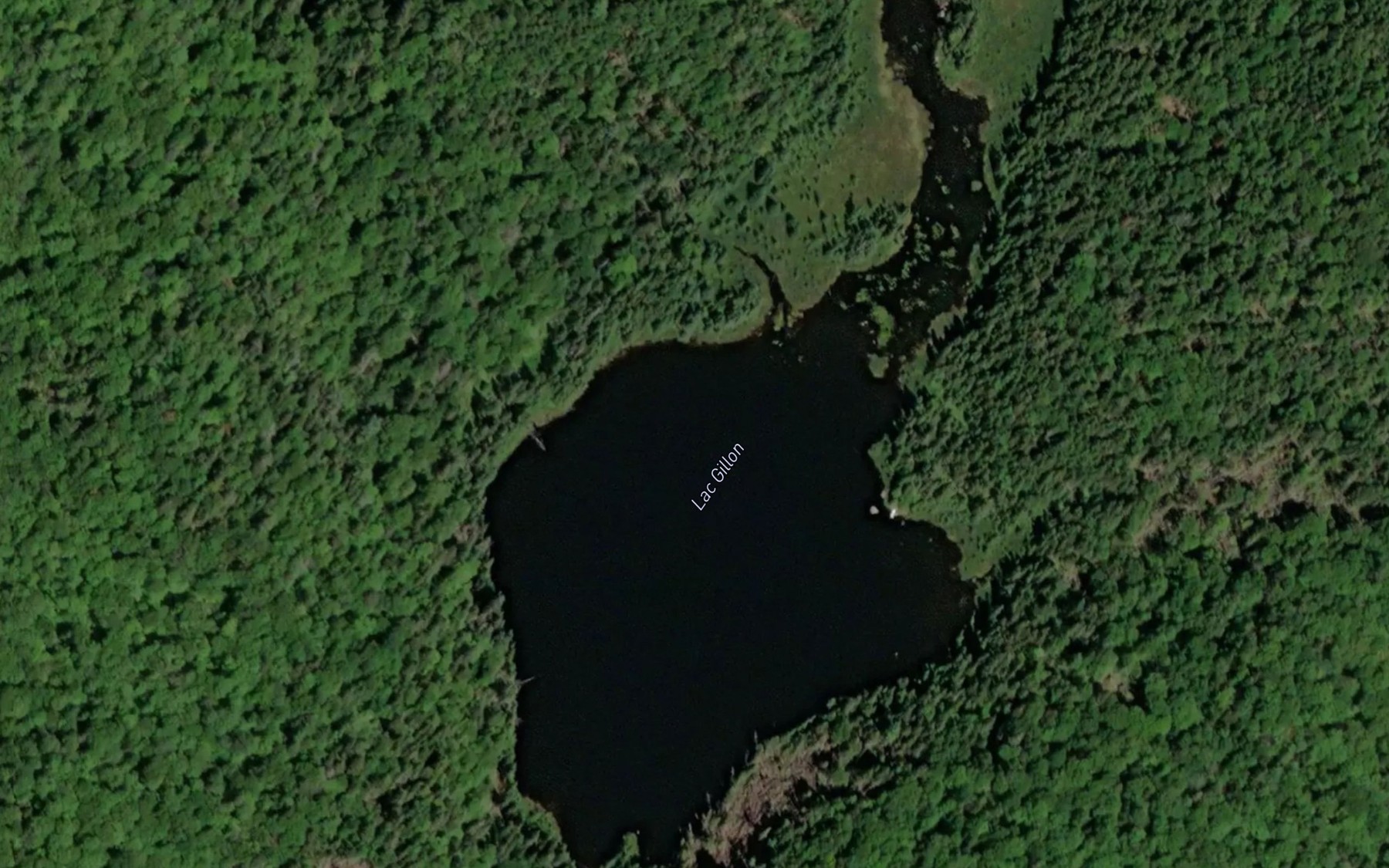 Satellite map of the Lac Gillon
