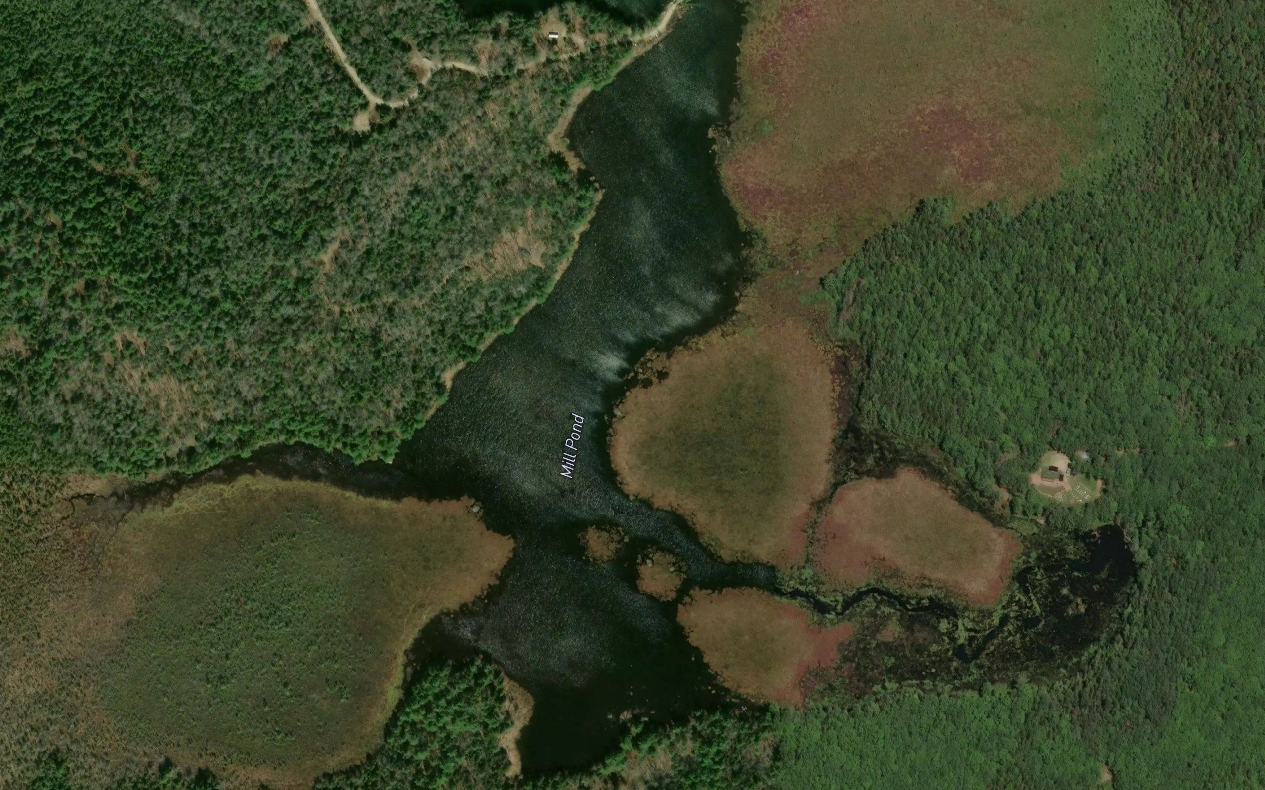 Mill Pond