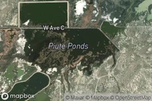 Big Piute Pond