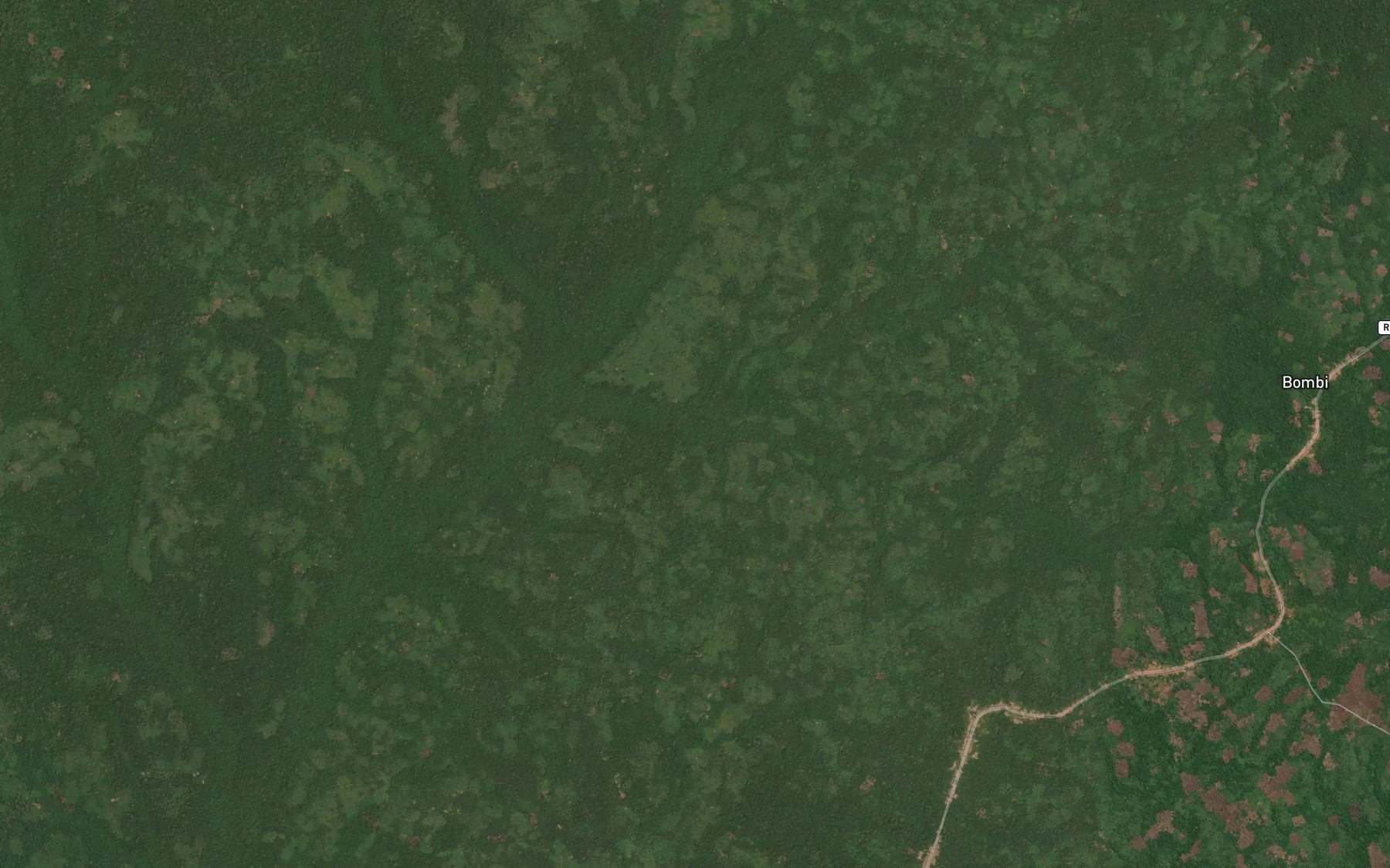 Satellite map of the Mangwanga