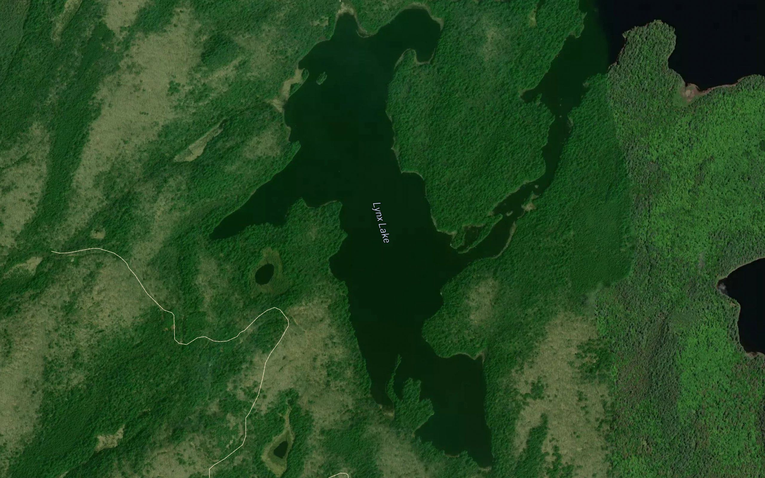 Lynx Lake