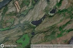 Gravlitjorna
