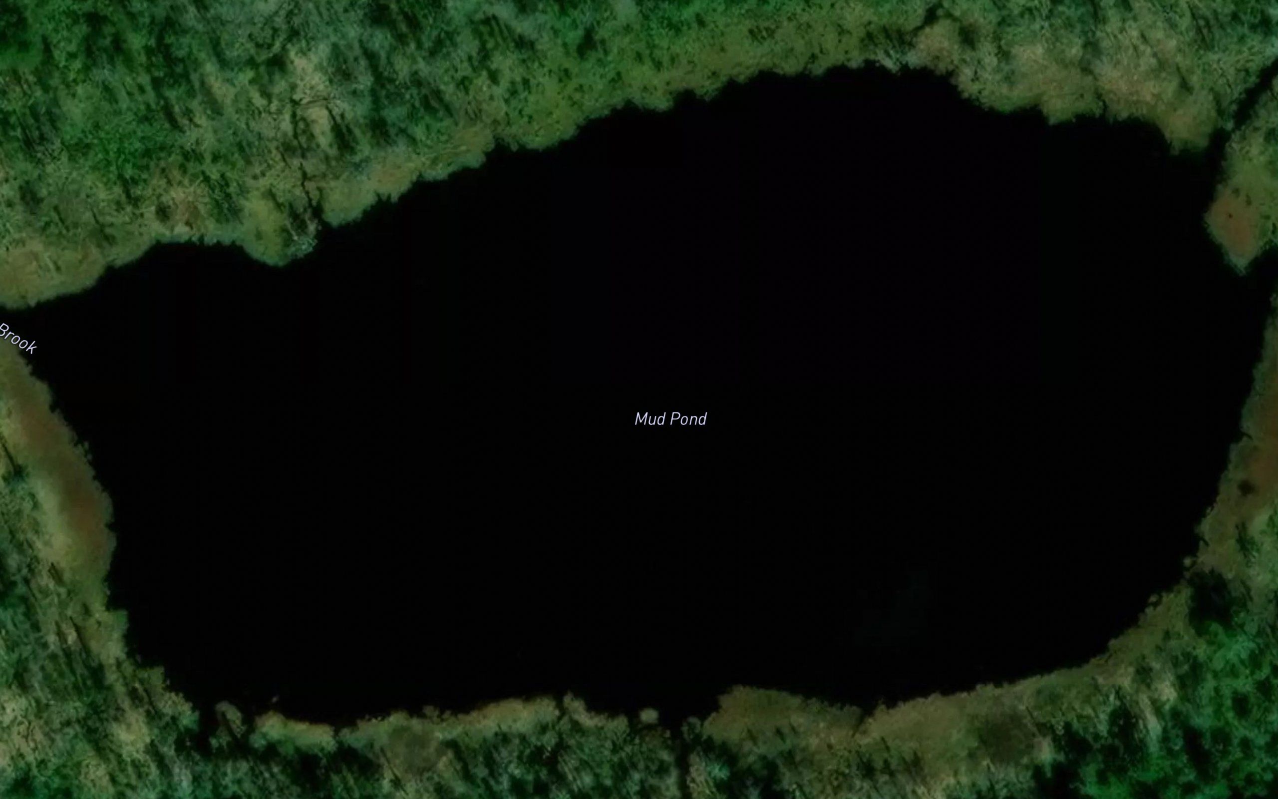 Mud Pond