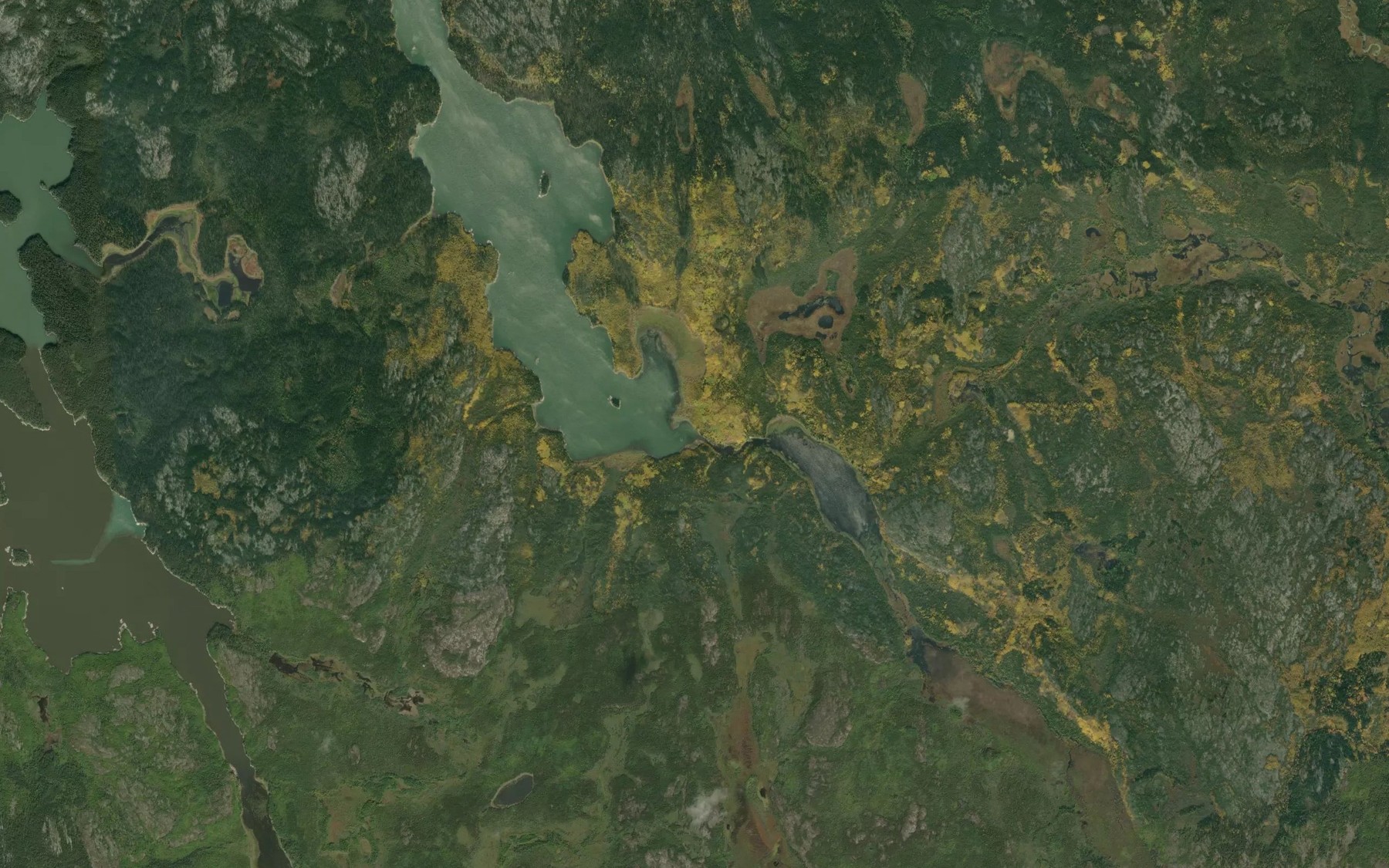 Satellite map of the Kakepowukakotake Creek