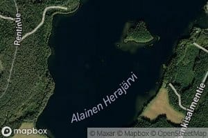 Alainen Herajarvi