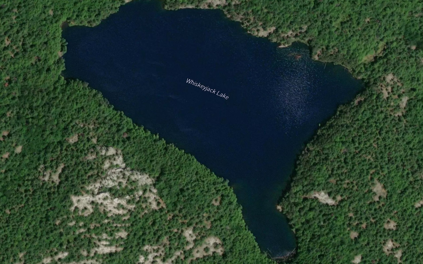Satellite map of the Whiskeyjack Lake