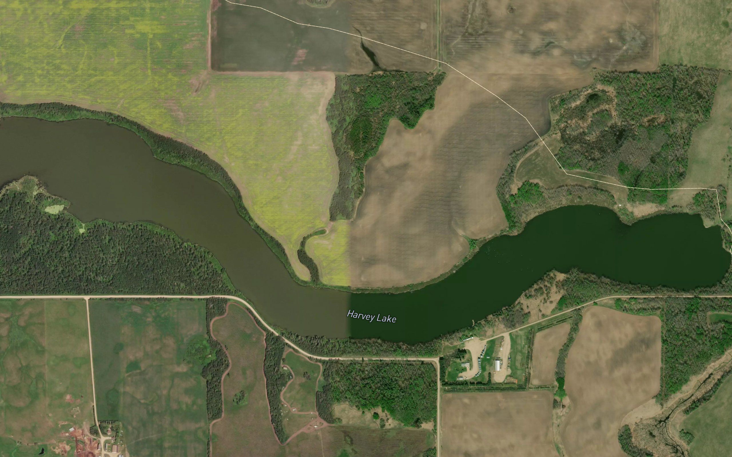 Harvey Lake