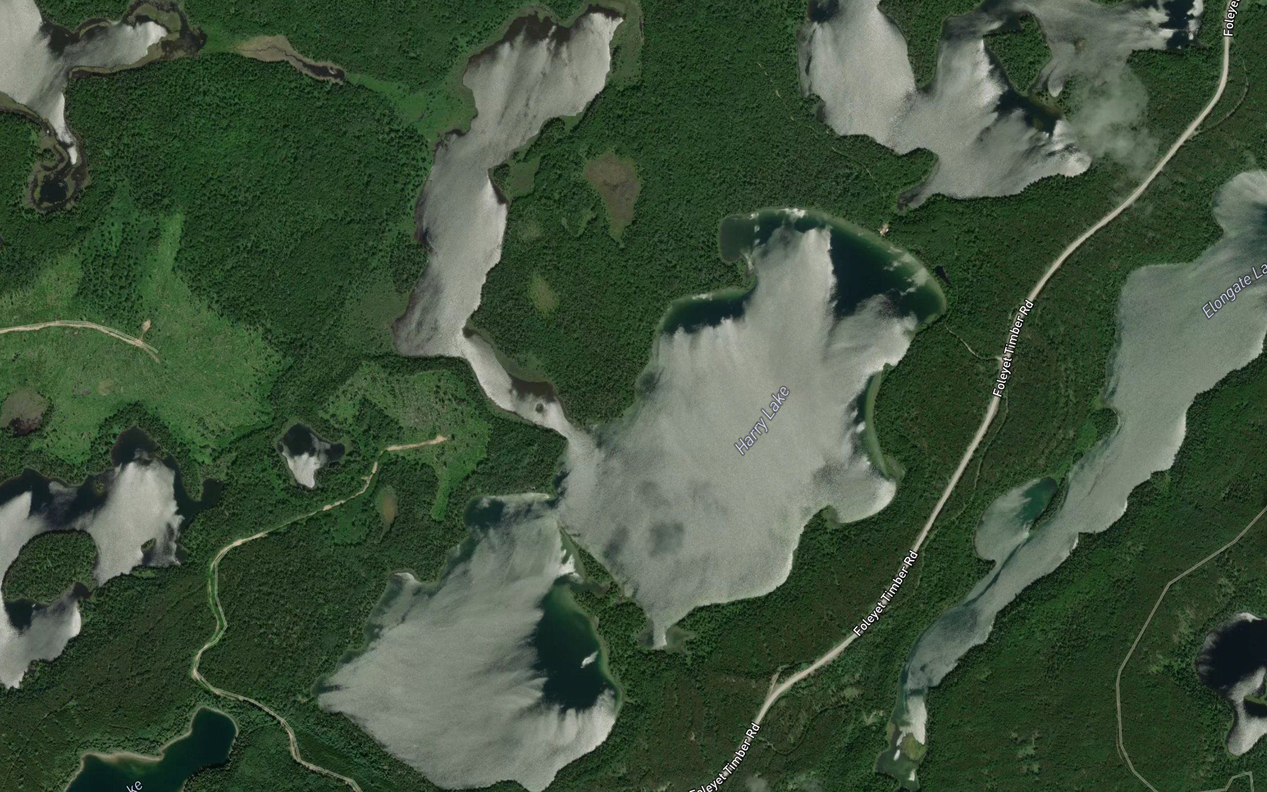 Harry Lake