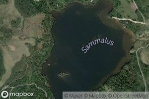 Sammalus