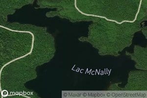 Lac McNally