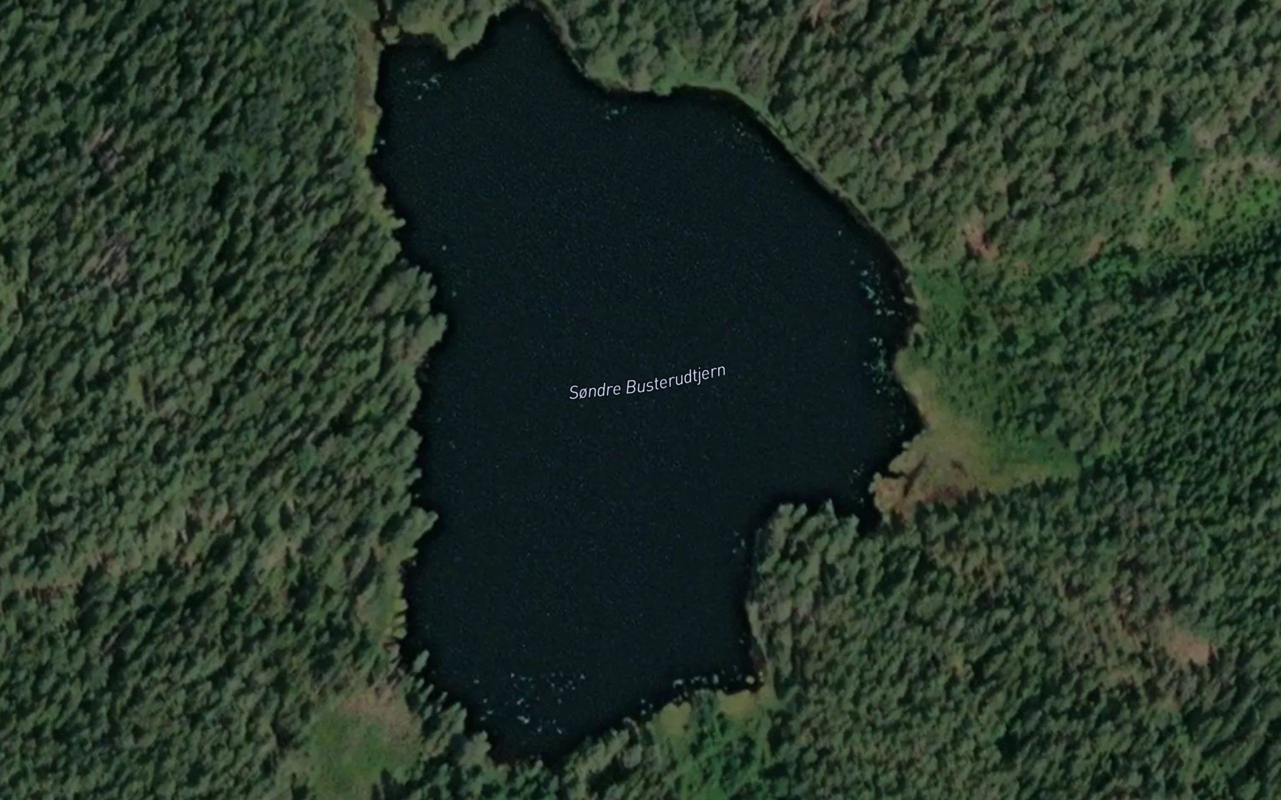 Busterudtjerna